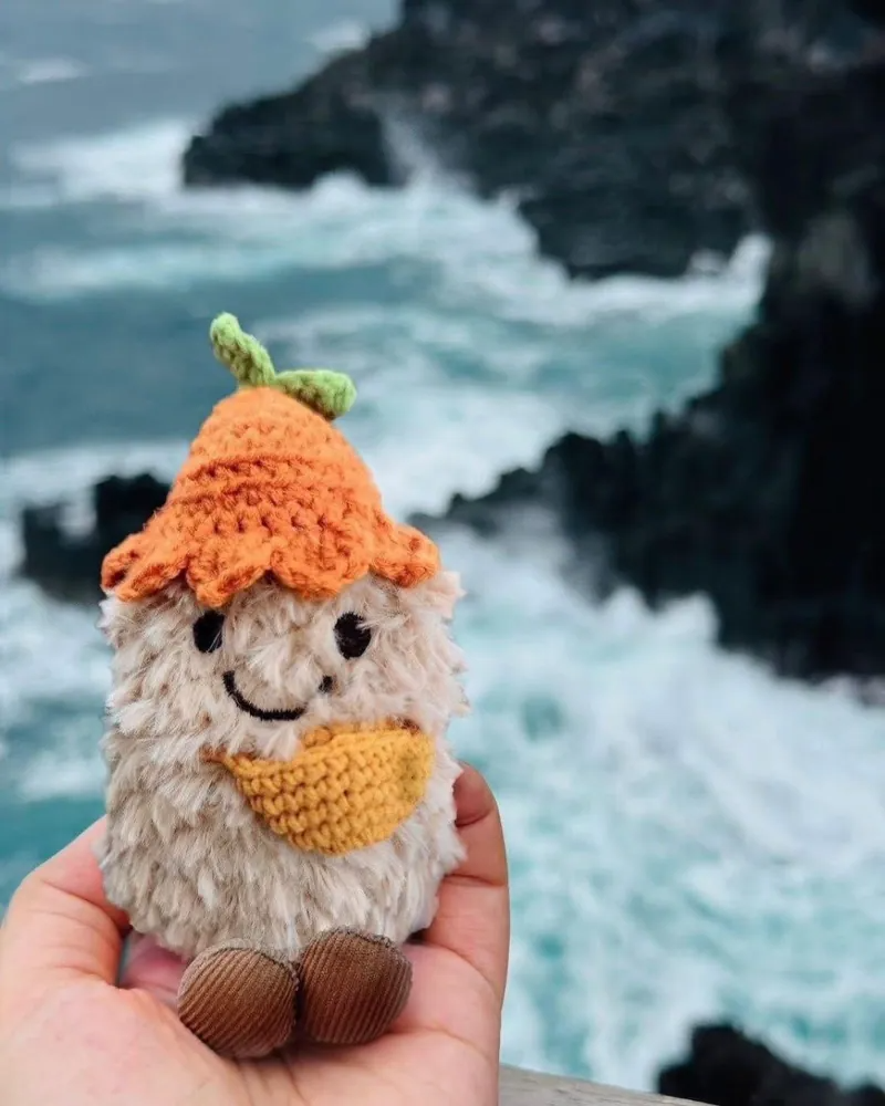 限定 韓國濟州島 苦盡柑來 限定 花生 好事花生 毛絨 掛飾 吊飾