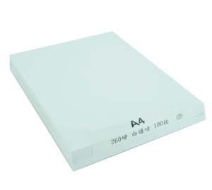 260gsm 雙面多用途白咭 A4 (100張裝) 100's 500471010