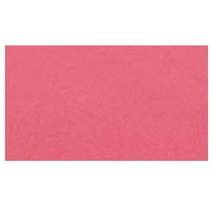 230gsm 雙面皮紋紙 A4 - 紅色 (100張裝) 500470750