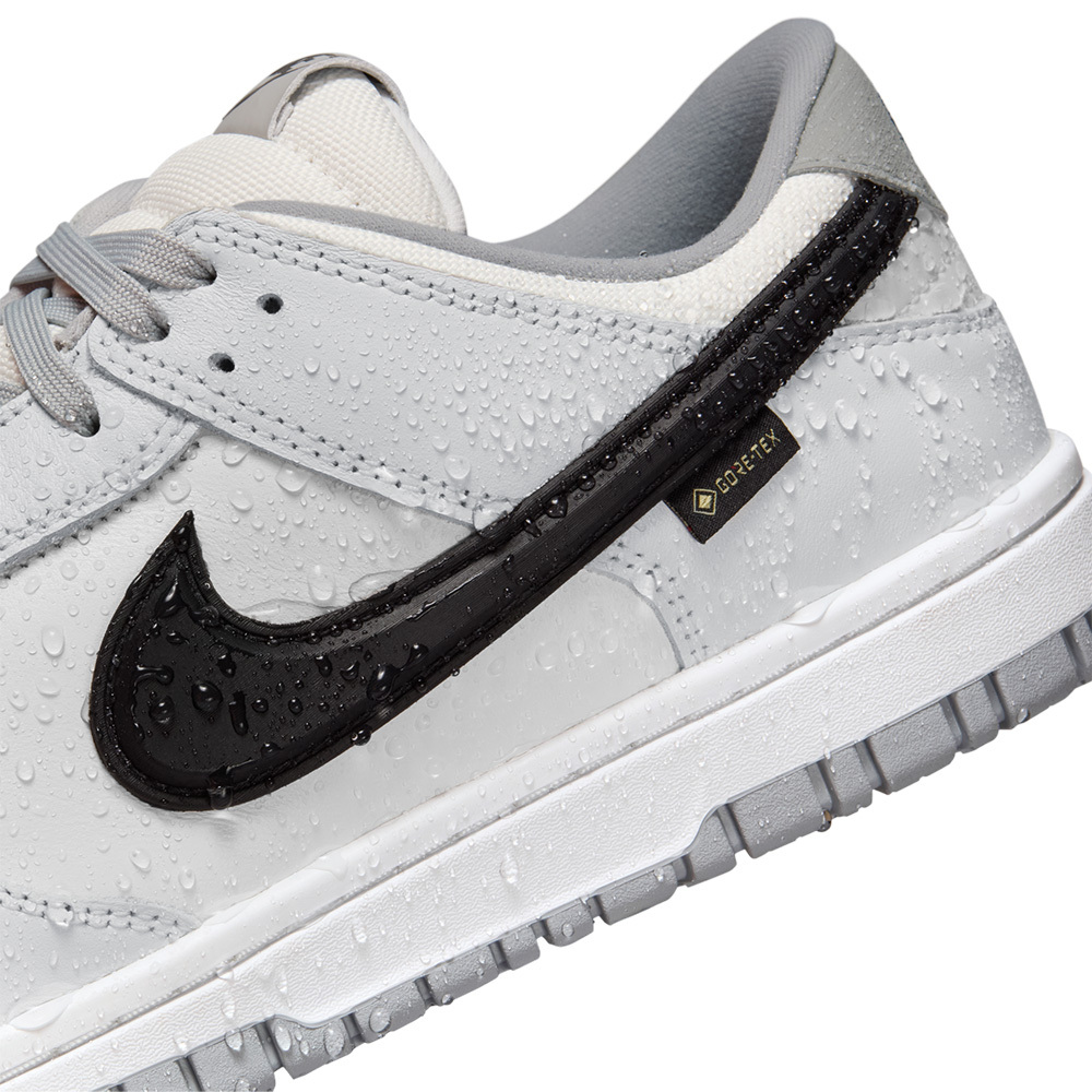 Nike Dunk Low Gore-Tex Smoke Grey 煙灰 防潑水 反光 休閒鞋 運動鞋 男鞋 HQ2053-100