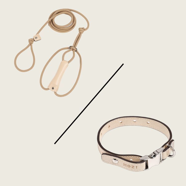 All in one 85折特別組合