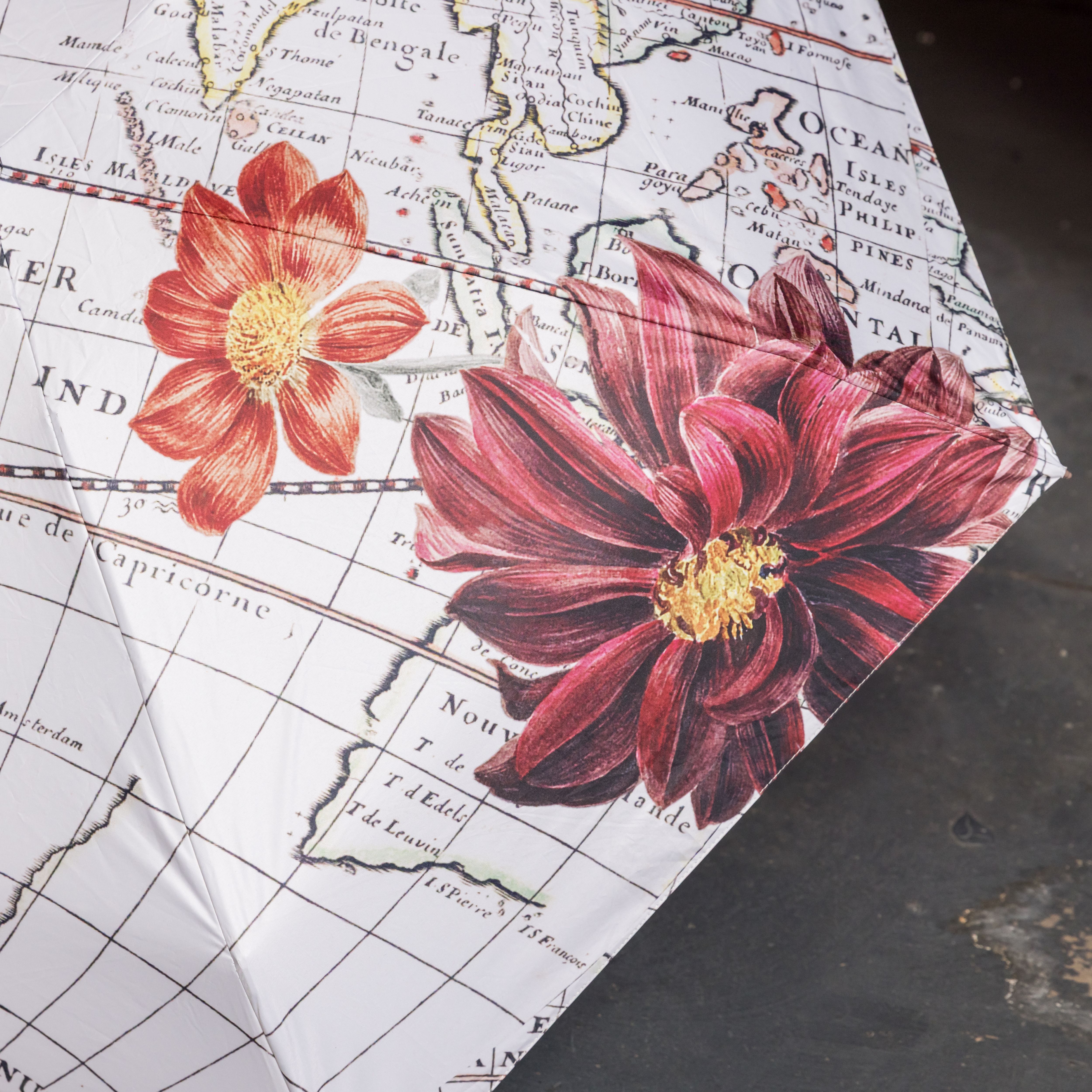 世界古文明藝術羽毛傘｜地圖與花