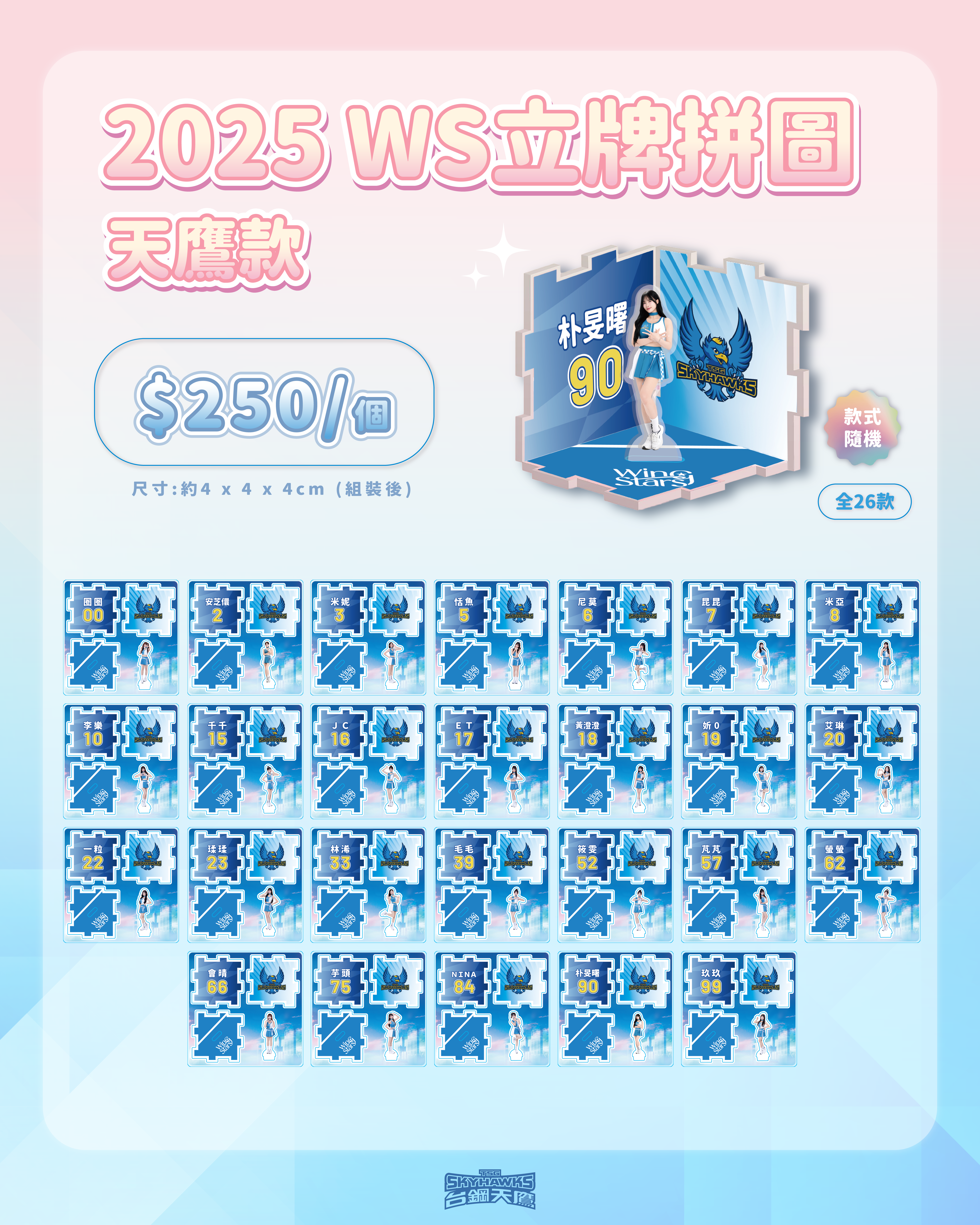 2025 WS立牌拼圖-天鷹款｜盲包