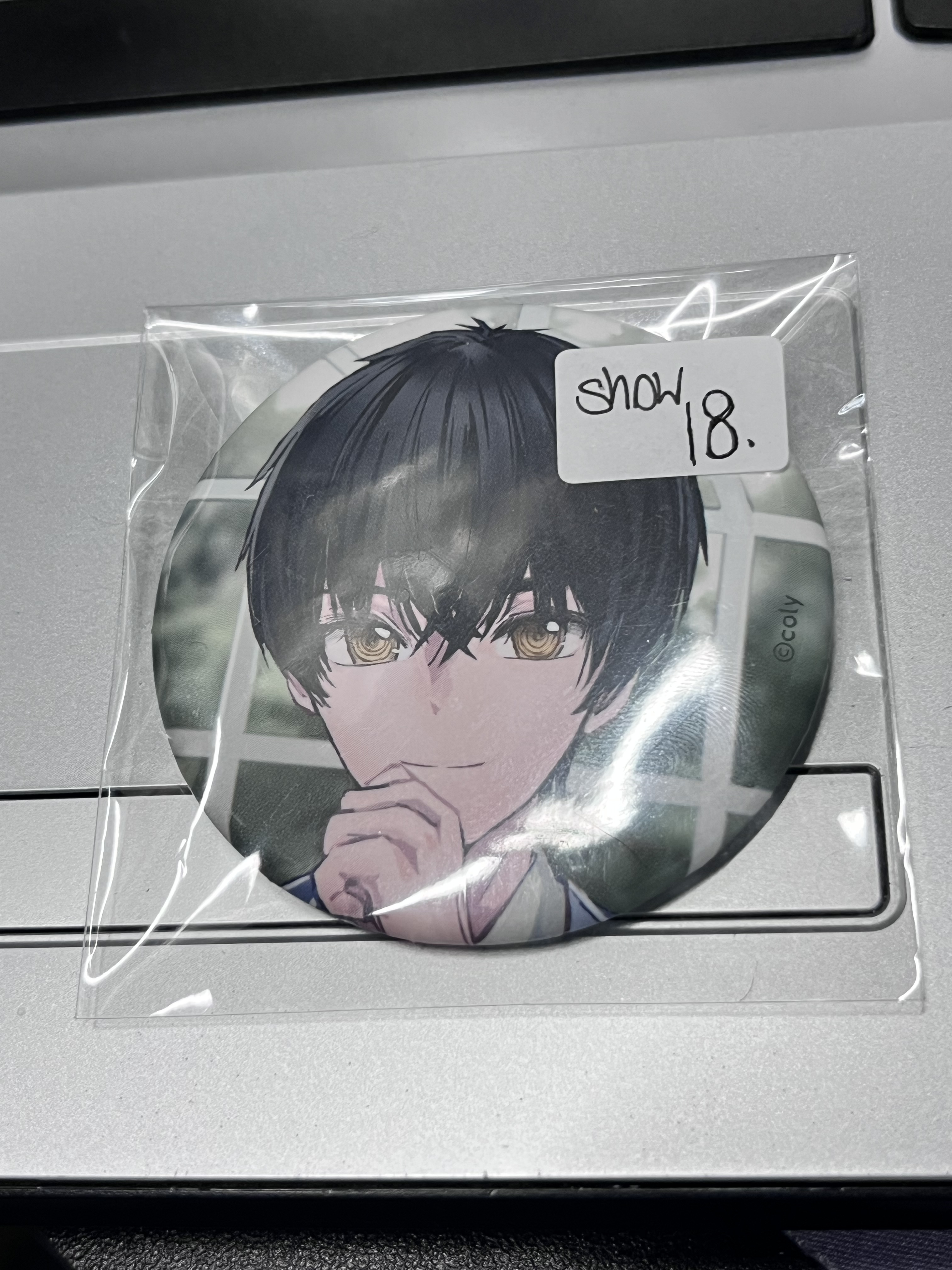 魔法使的約定 SNOW 襟章#355