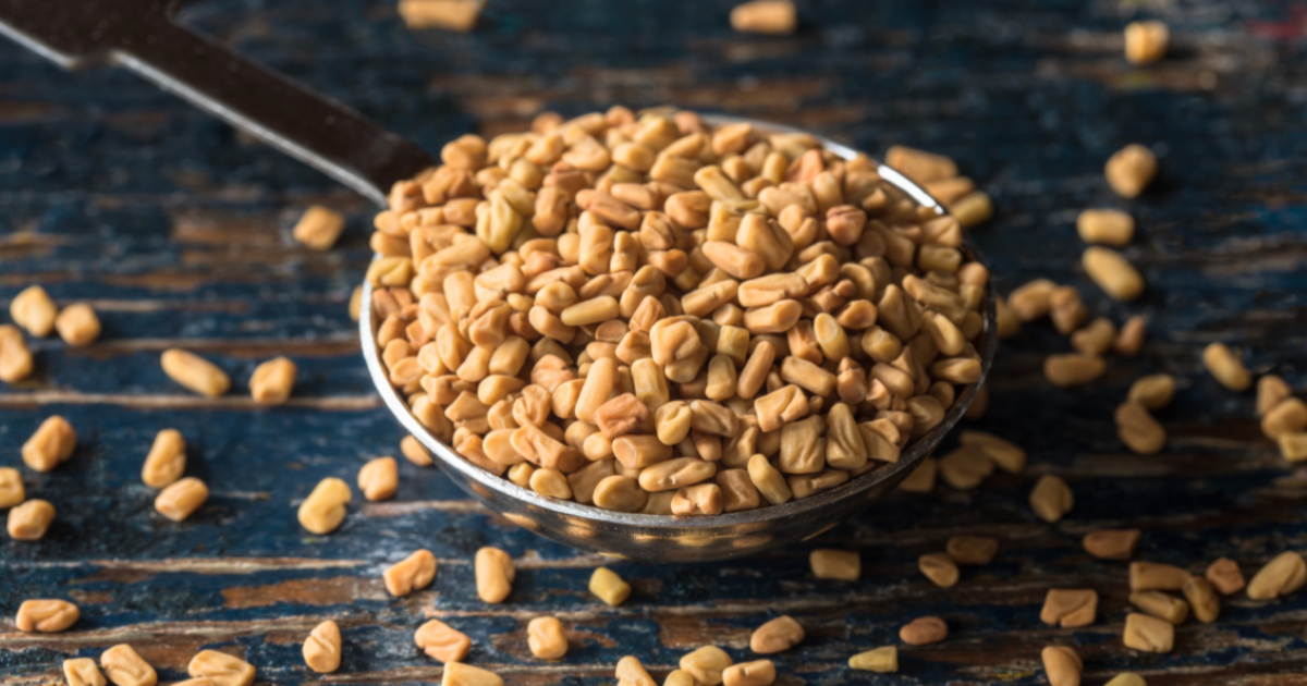 嚕藥師帶你認識葫蘆巴：從健身到日常調理都適用的營養價值與必懂關鍵