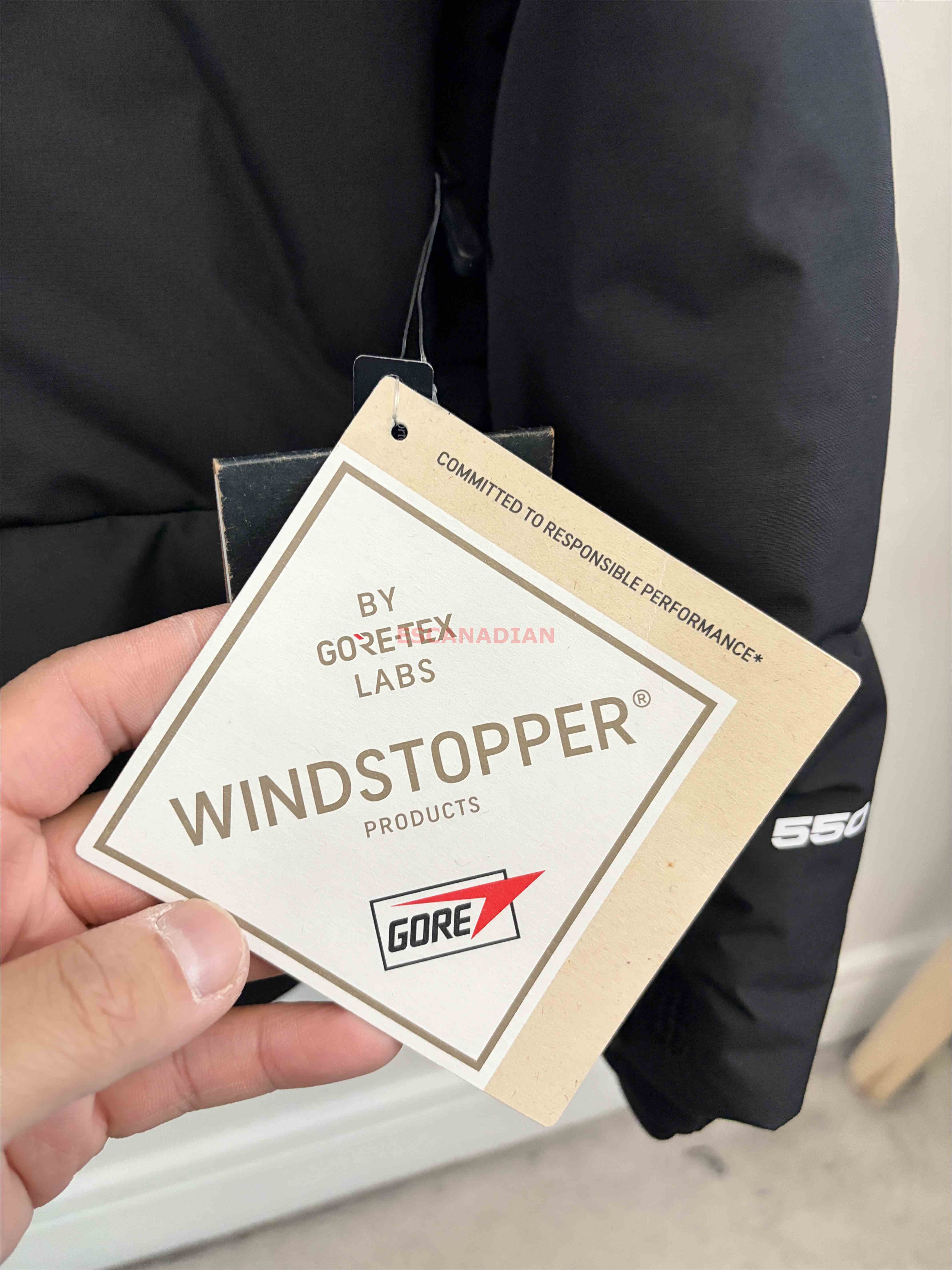 THE NORTH FACE(大尺碼優惠款) 男大人 Gore Tex硬挺面料 550羽絨 防風 防水 滑雪外套 (可日常穿) (有拇指扣)