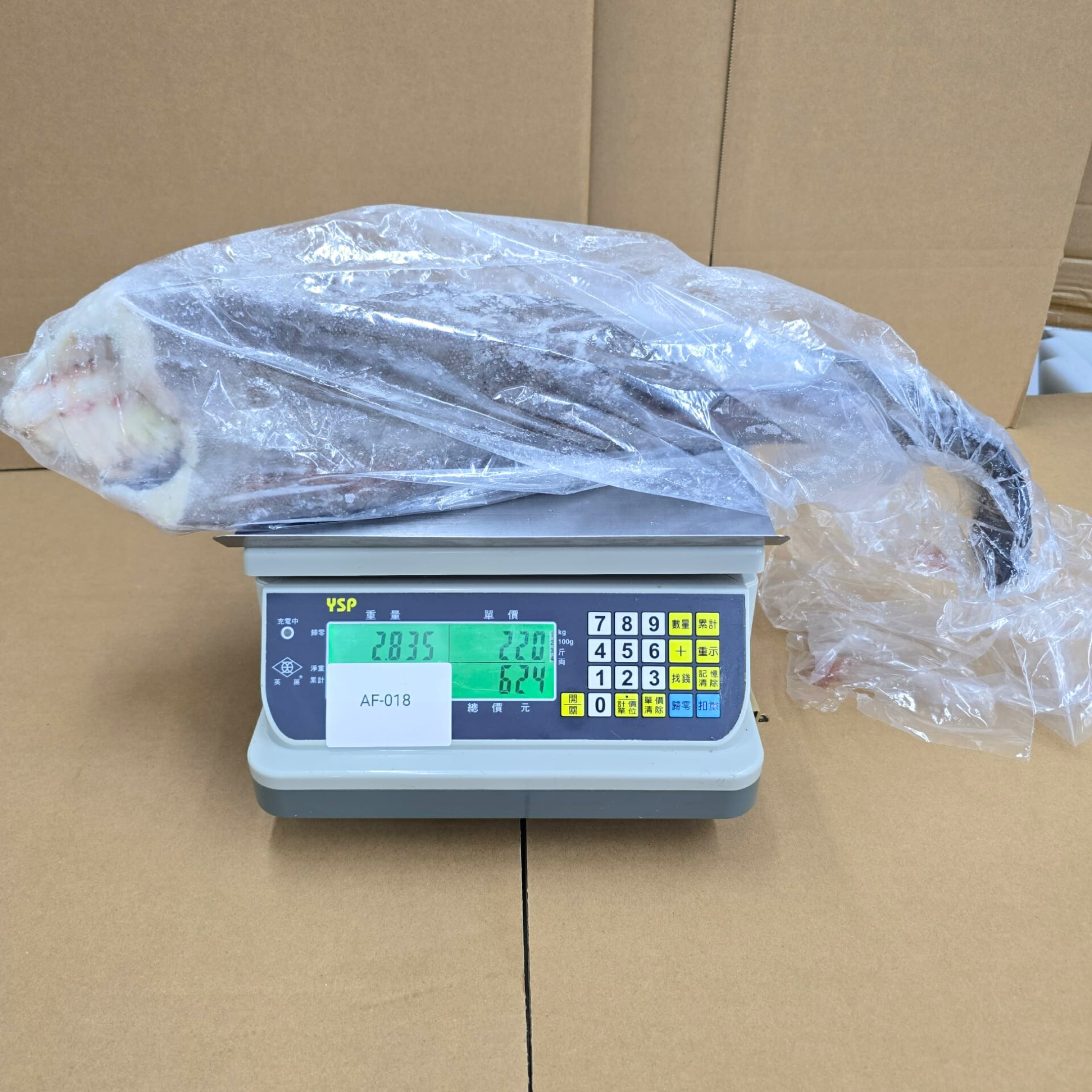 USA Black Cod (Original Piece for Sale)