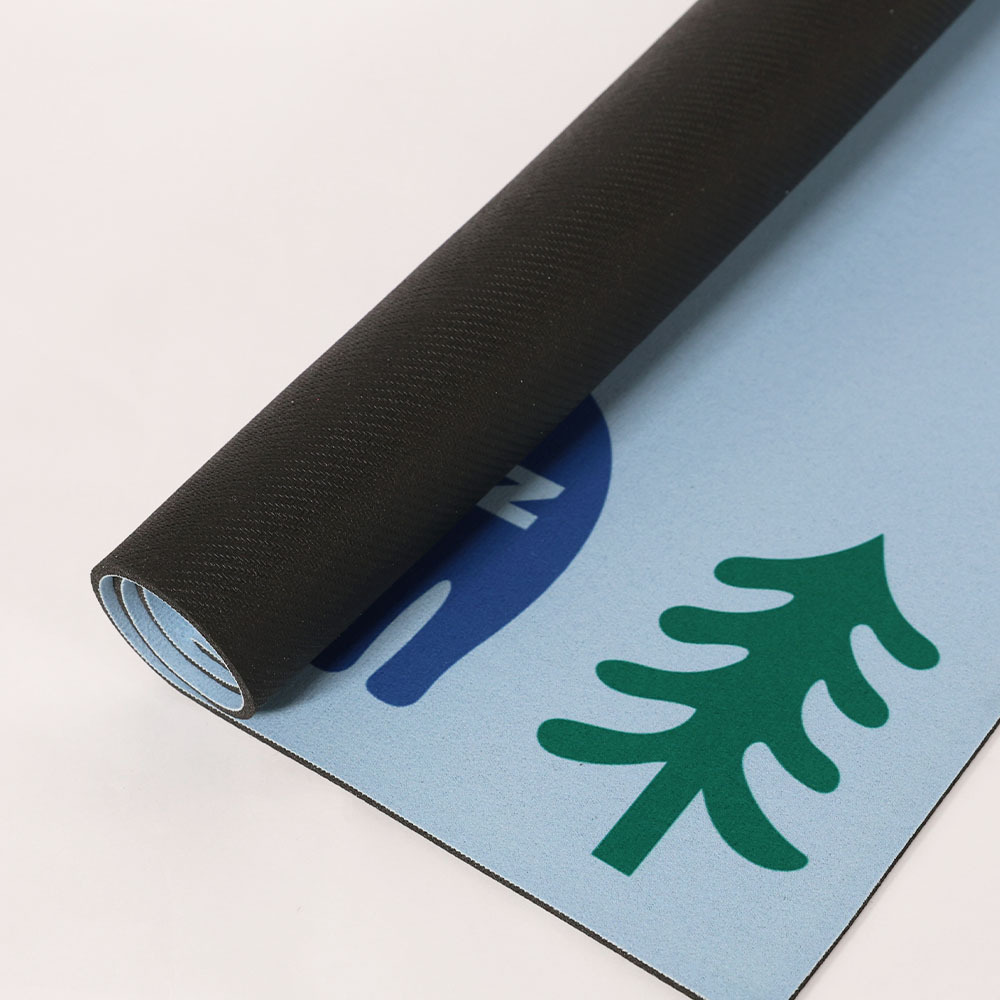 速乾軟式硅藻防滑地墊- 溫馨小屋(藍)