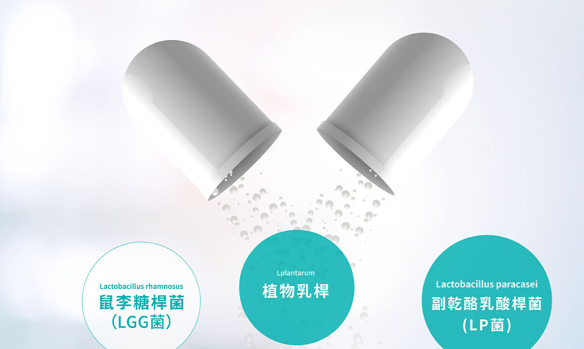 350億膠囊益生菌-嚴萃保健-20