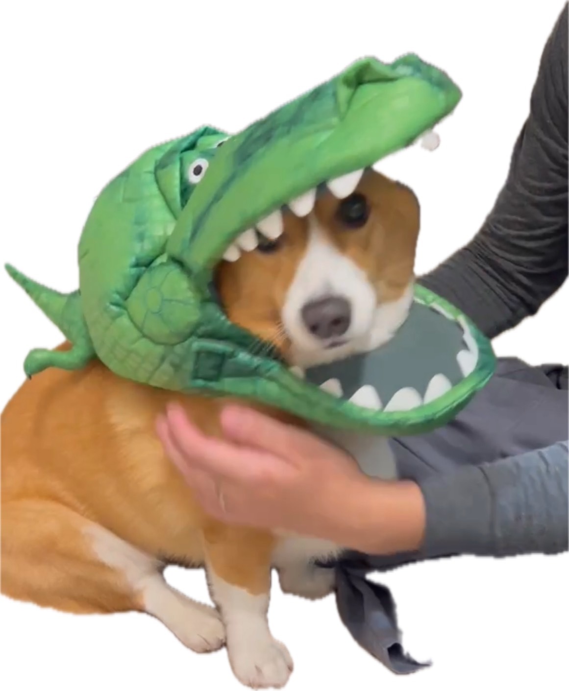 0元商品