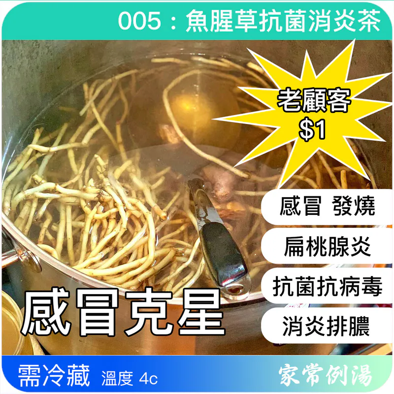 魚腥草抗菌消炎茶-家常例湯止咳茶-止咳茶推薦