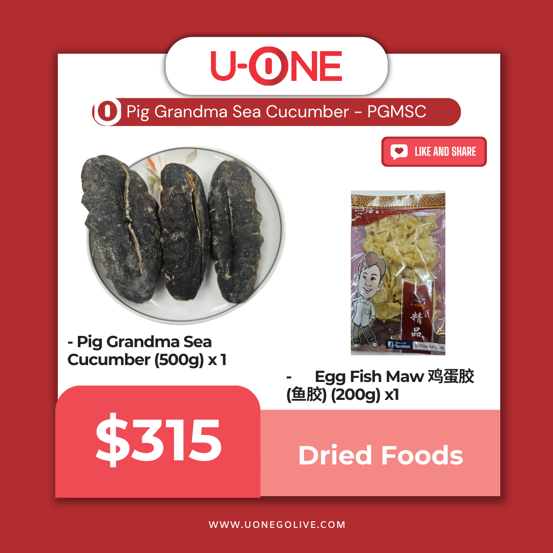 Pig Grandma Sea Cucumber - PGMSC