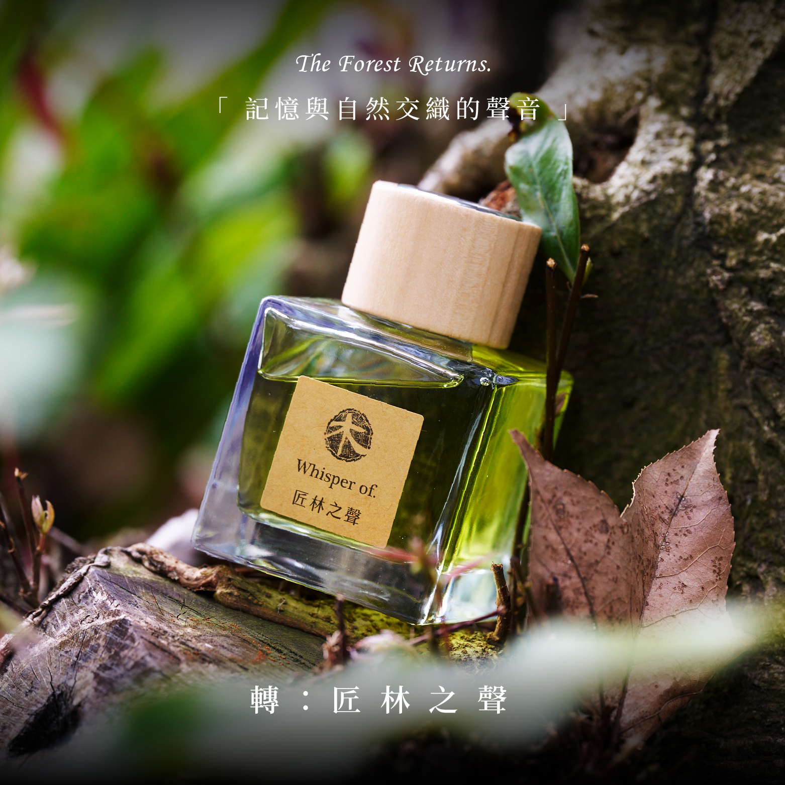 擴香木光盒套組 | 匠林之聲