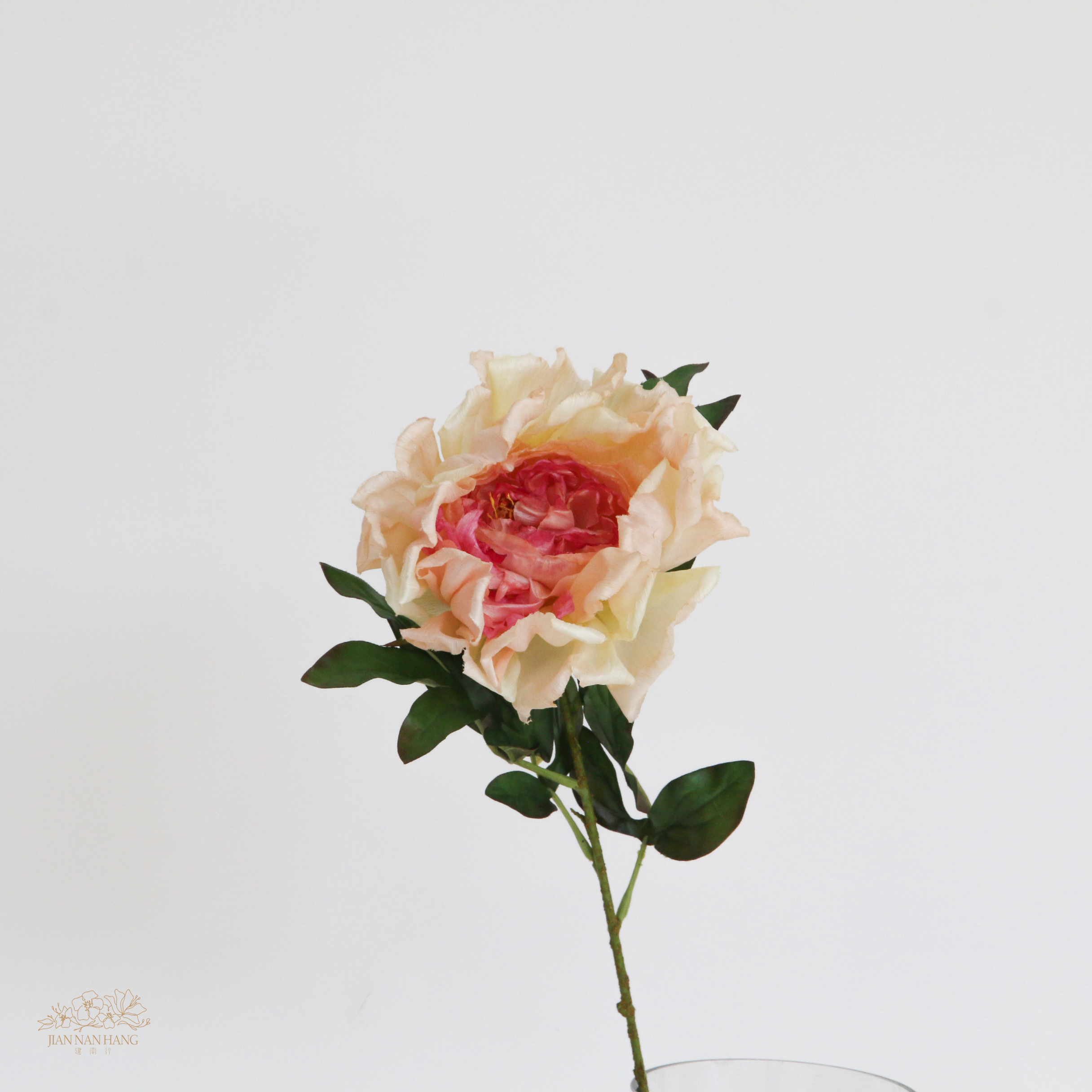 人造花 單頭牡丹 白桃