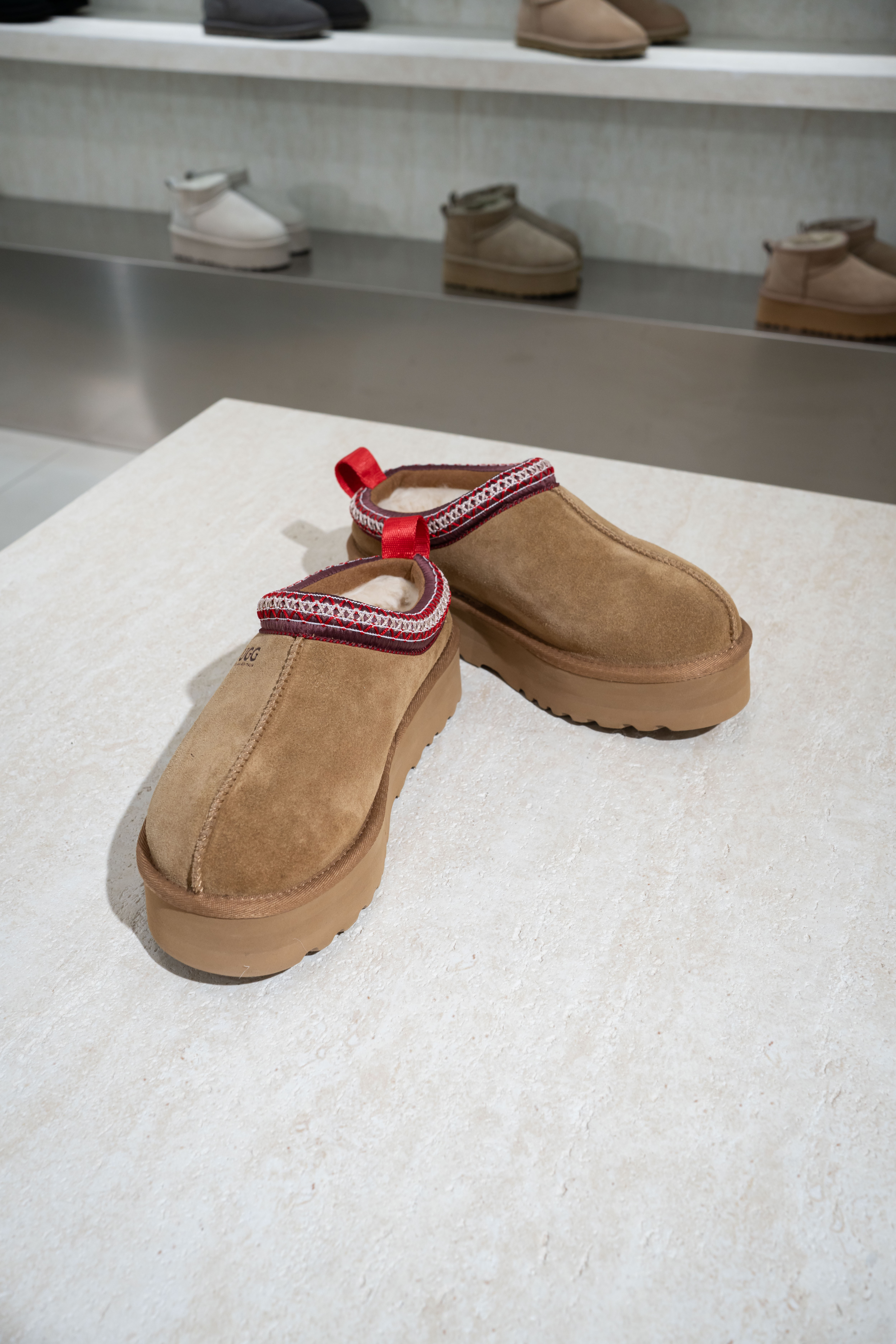 【8色入】UGG Ozlana Classic Tazz Slipper