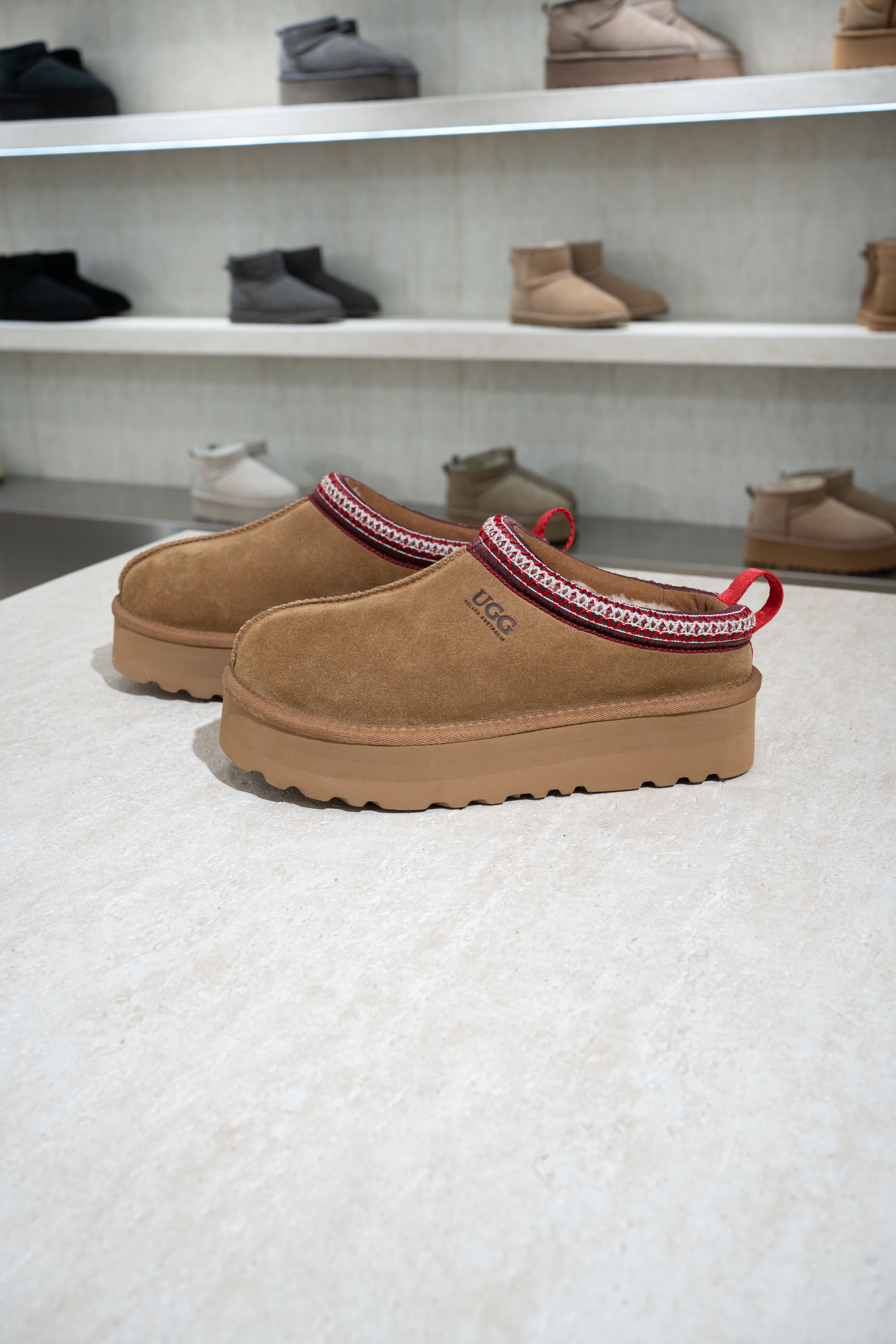 【8色入】UGG Ozlana Classic Tazz Slipper