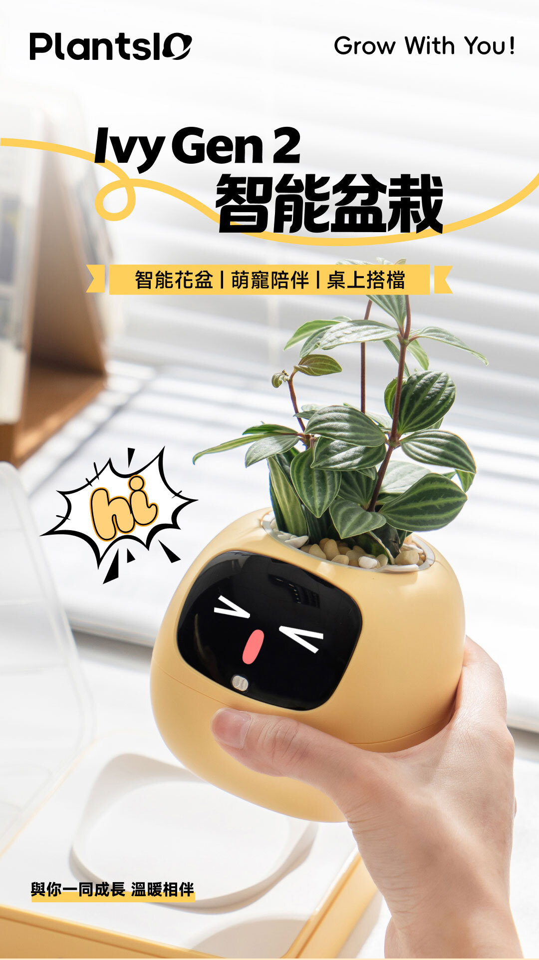 PLANTSIO Ivy Gen 2智能盆栽