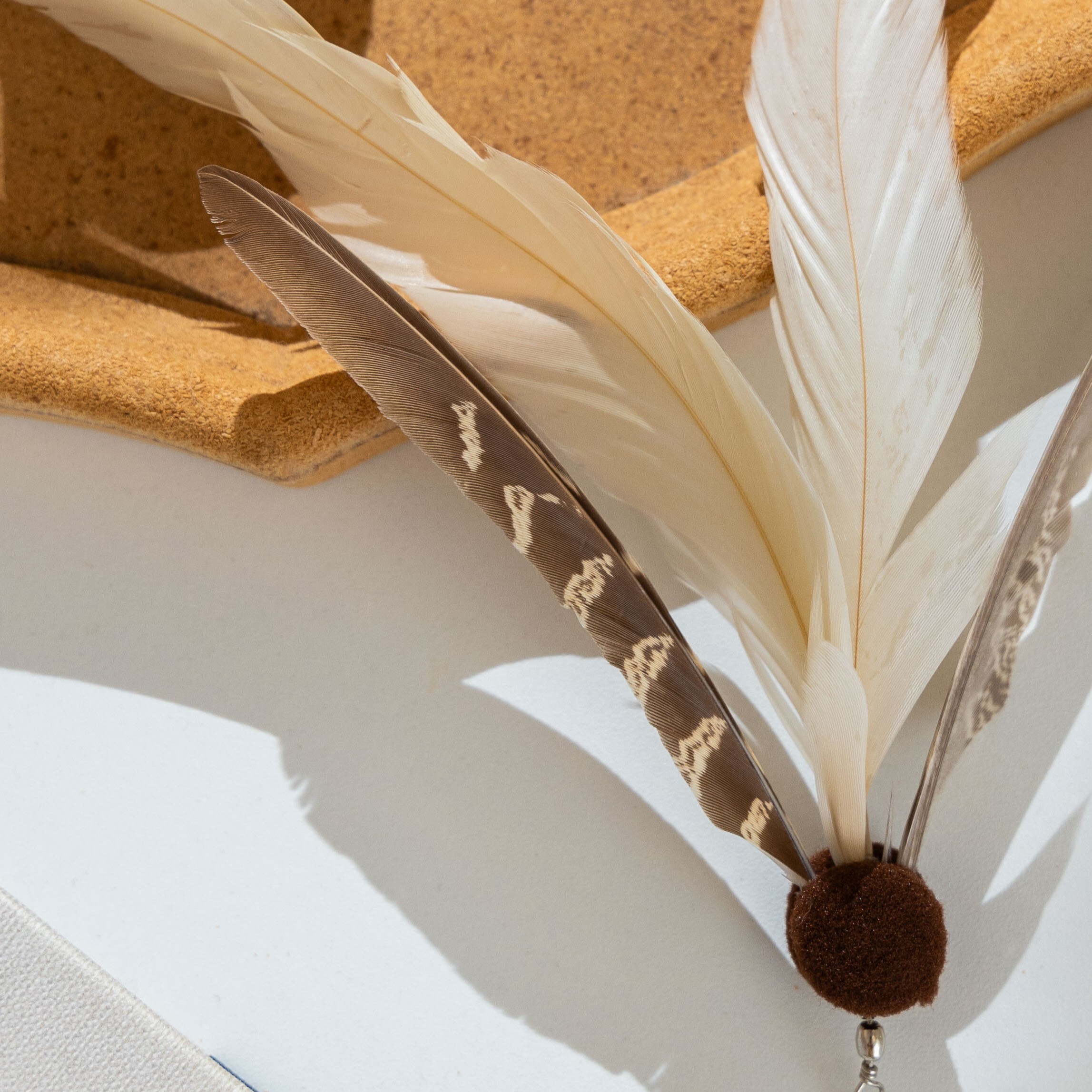 【ℕ𝔼𝕎】大鵬展翅