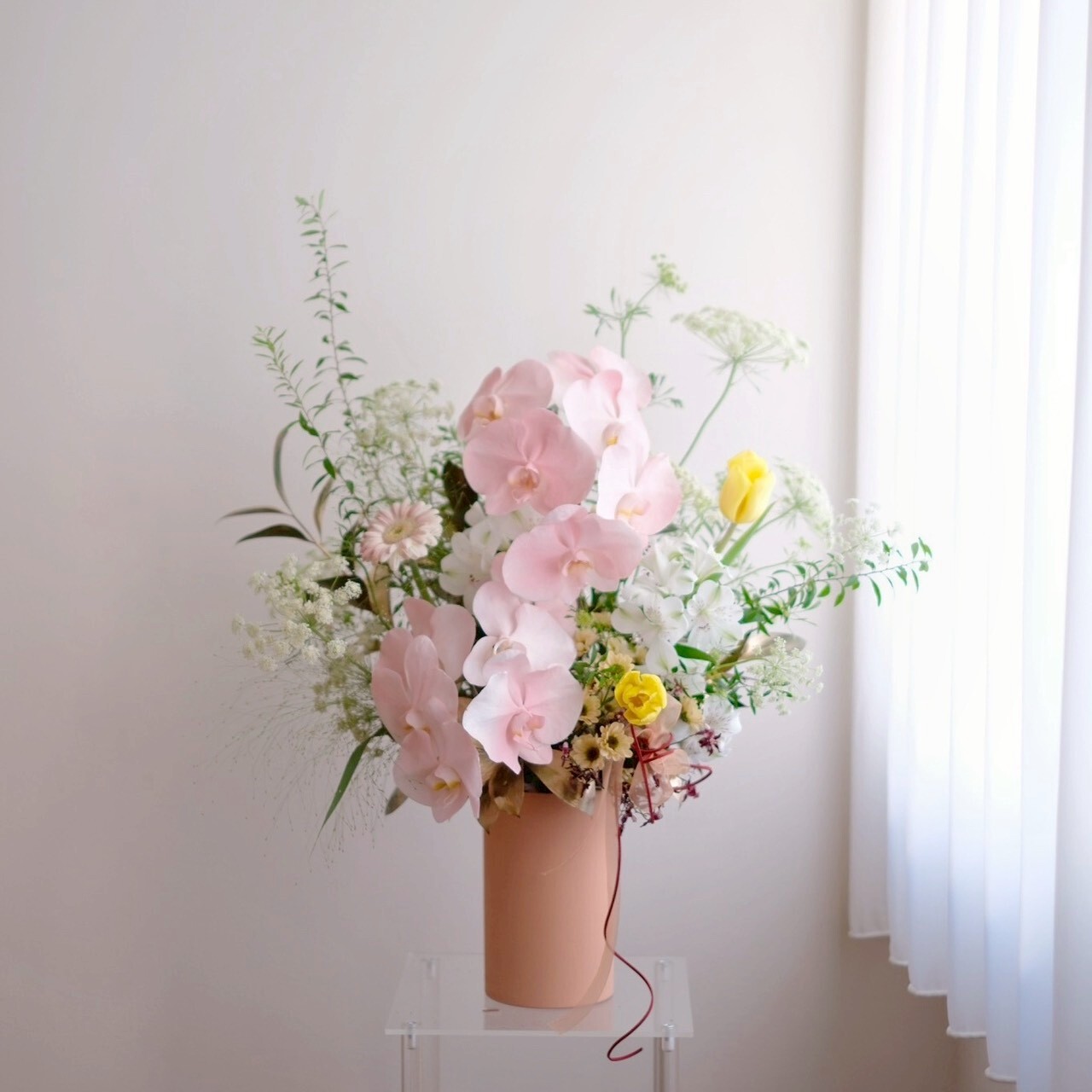 鮮花盆花 / 溫柔的蝴蝶蘭