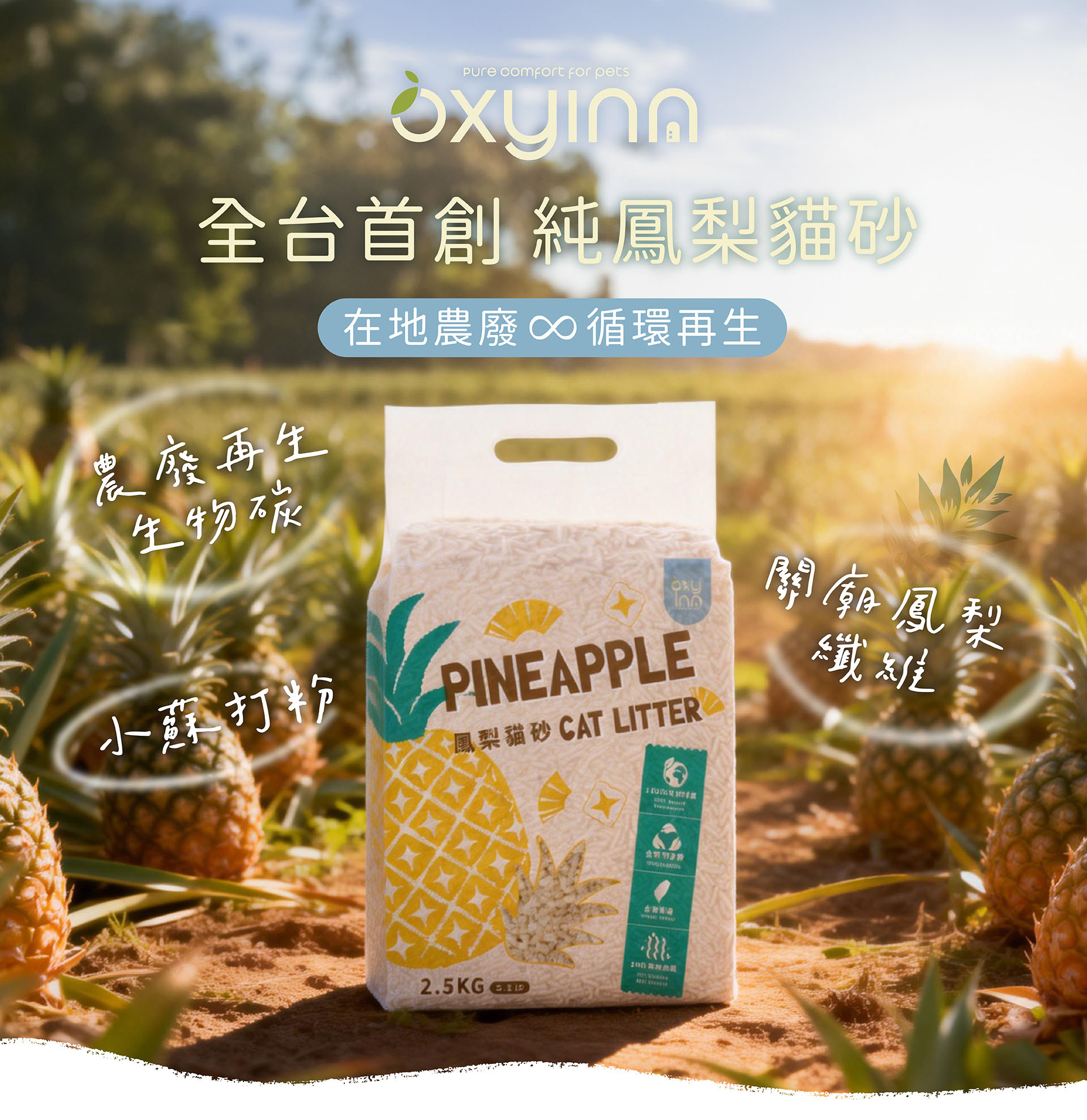 貪貪OXYINN鳳梨纖維貓砂特色介紹