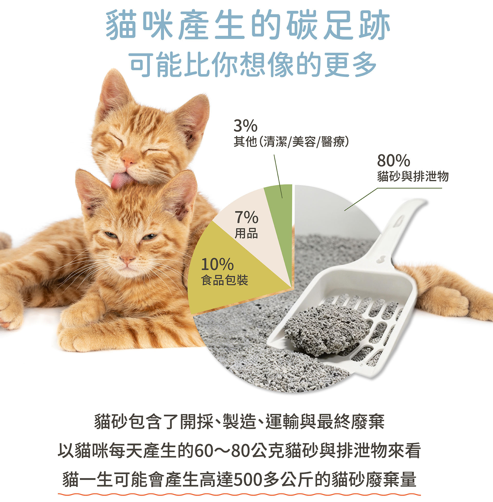 貓咪產生的碳足跡