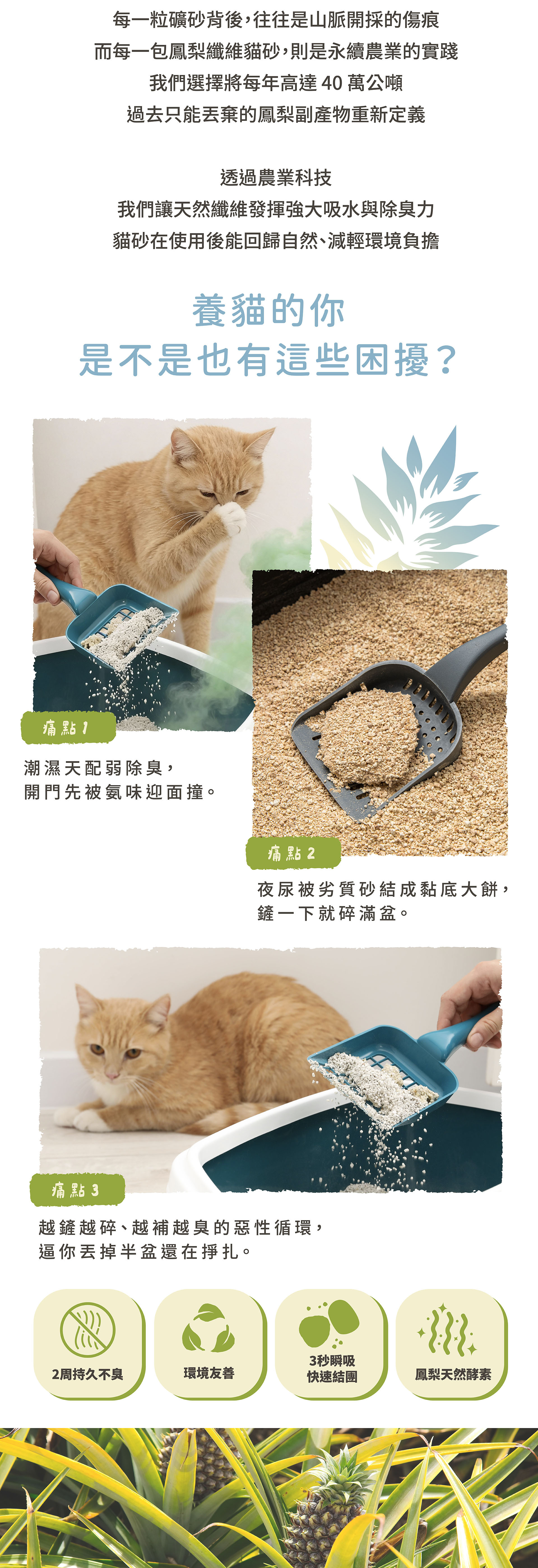 貪貪OXYINN鳳梨纖維貓砂痛點介紹