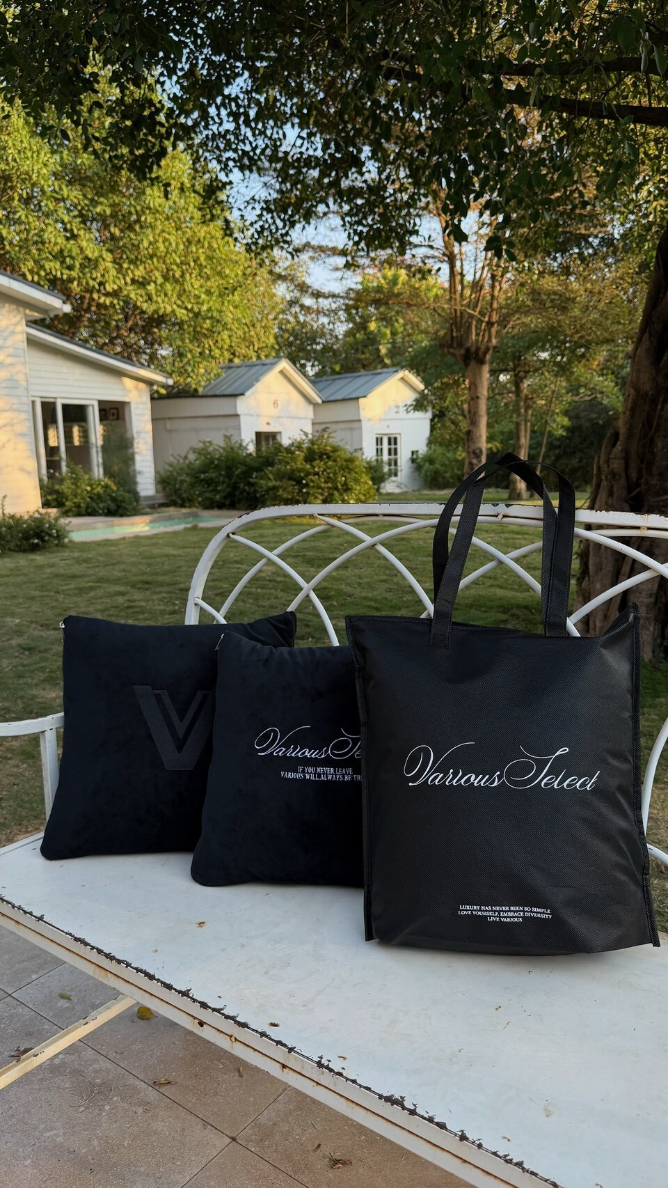 【限加購】品牌兩用抱枕