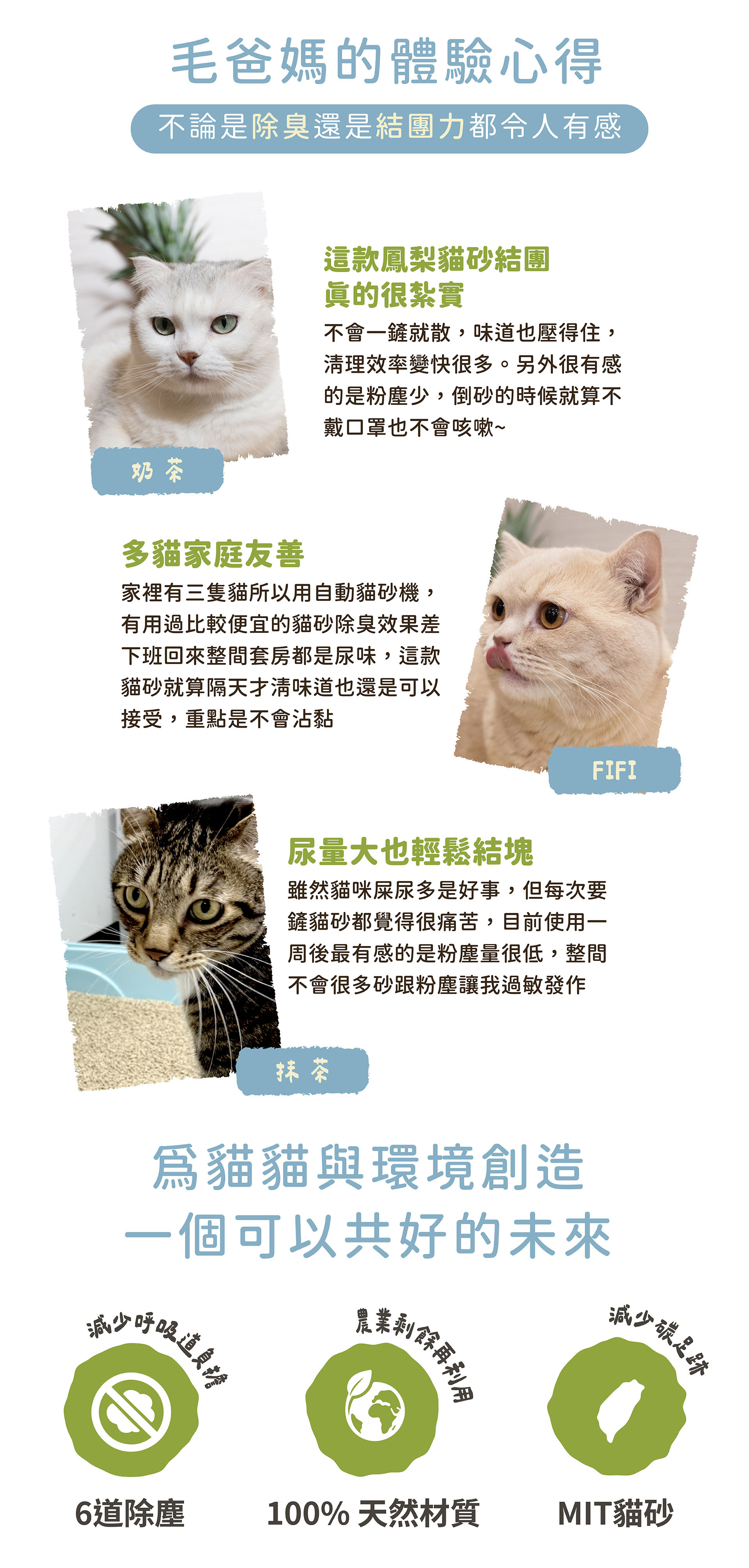 鳳梨纖維貓砂使用者體驗