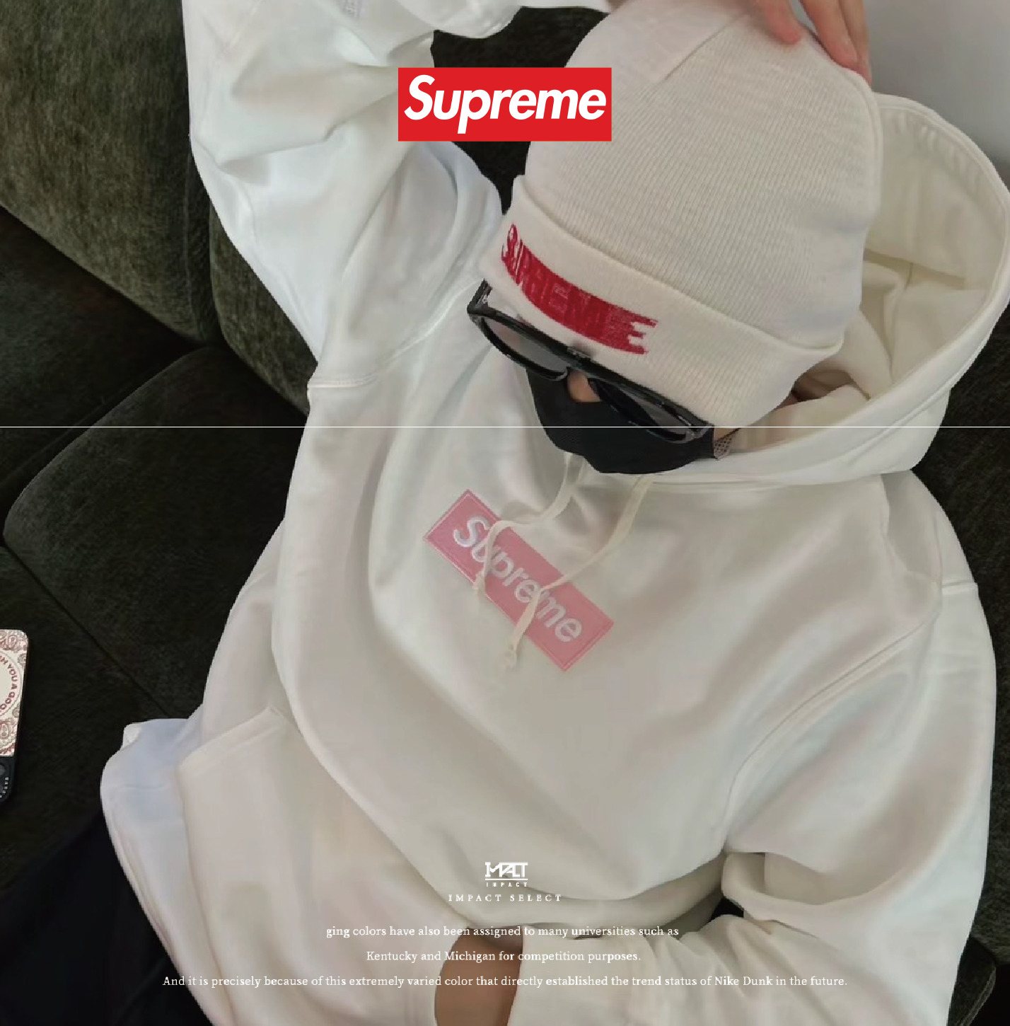 Supreme FW25 冬季系列 連帽式衛衣 帽T 八色