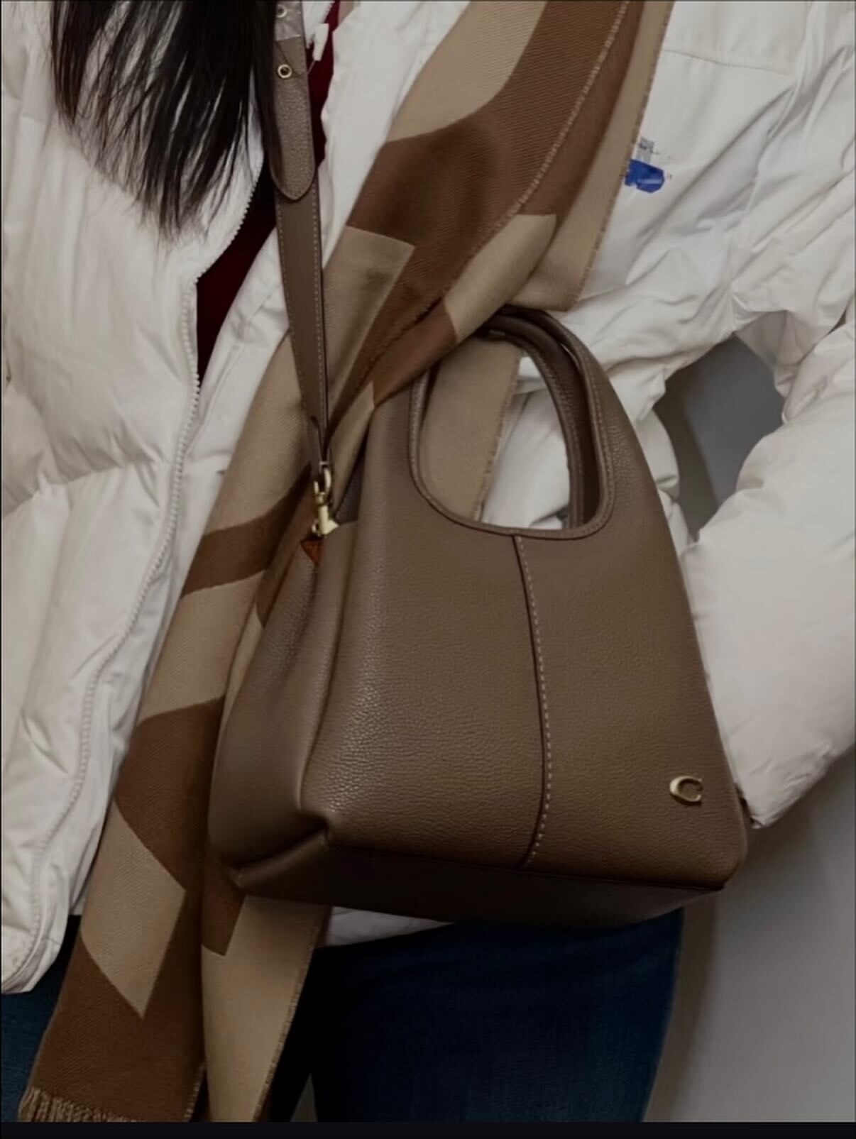 Coach Lana 23 手提包 側背包 麂皮 荔枝皮 三色