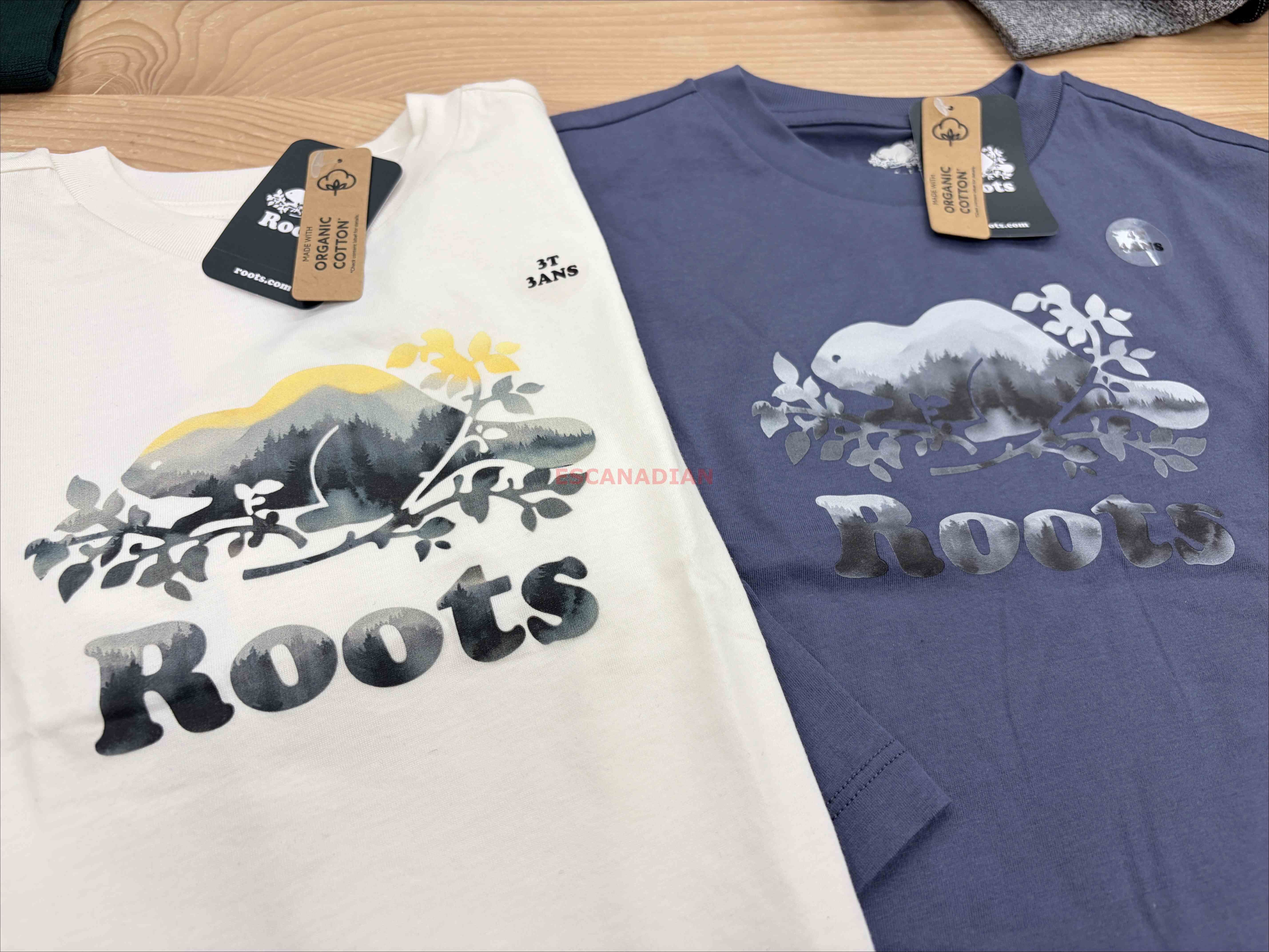 ROOTS 小童 水彩畫 海狸圖案 長TEE (2色)