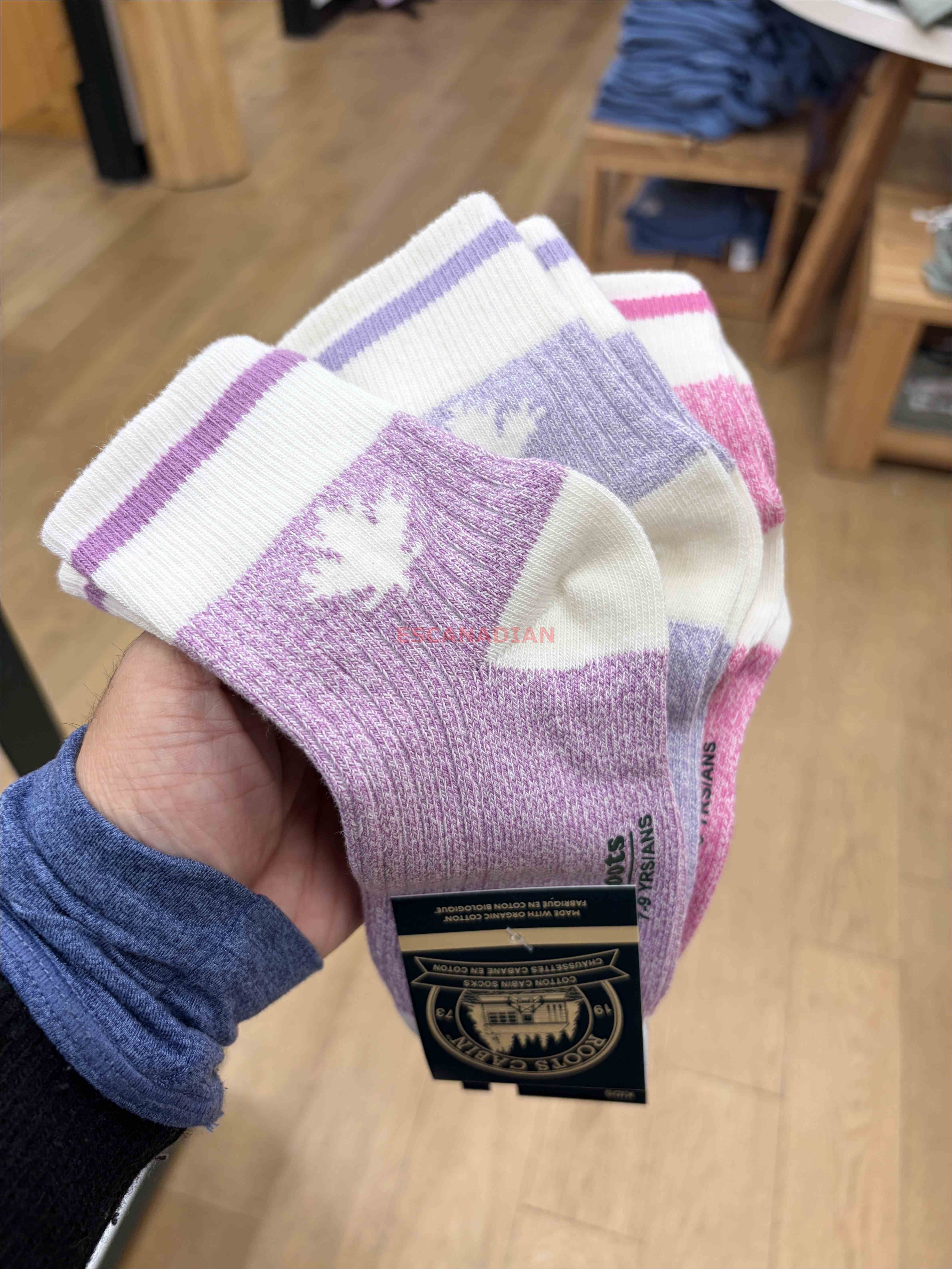 ROOTS 大童 小木屋系列 楓葉圖案 襪子組 (3雙一組) (3色)