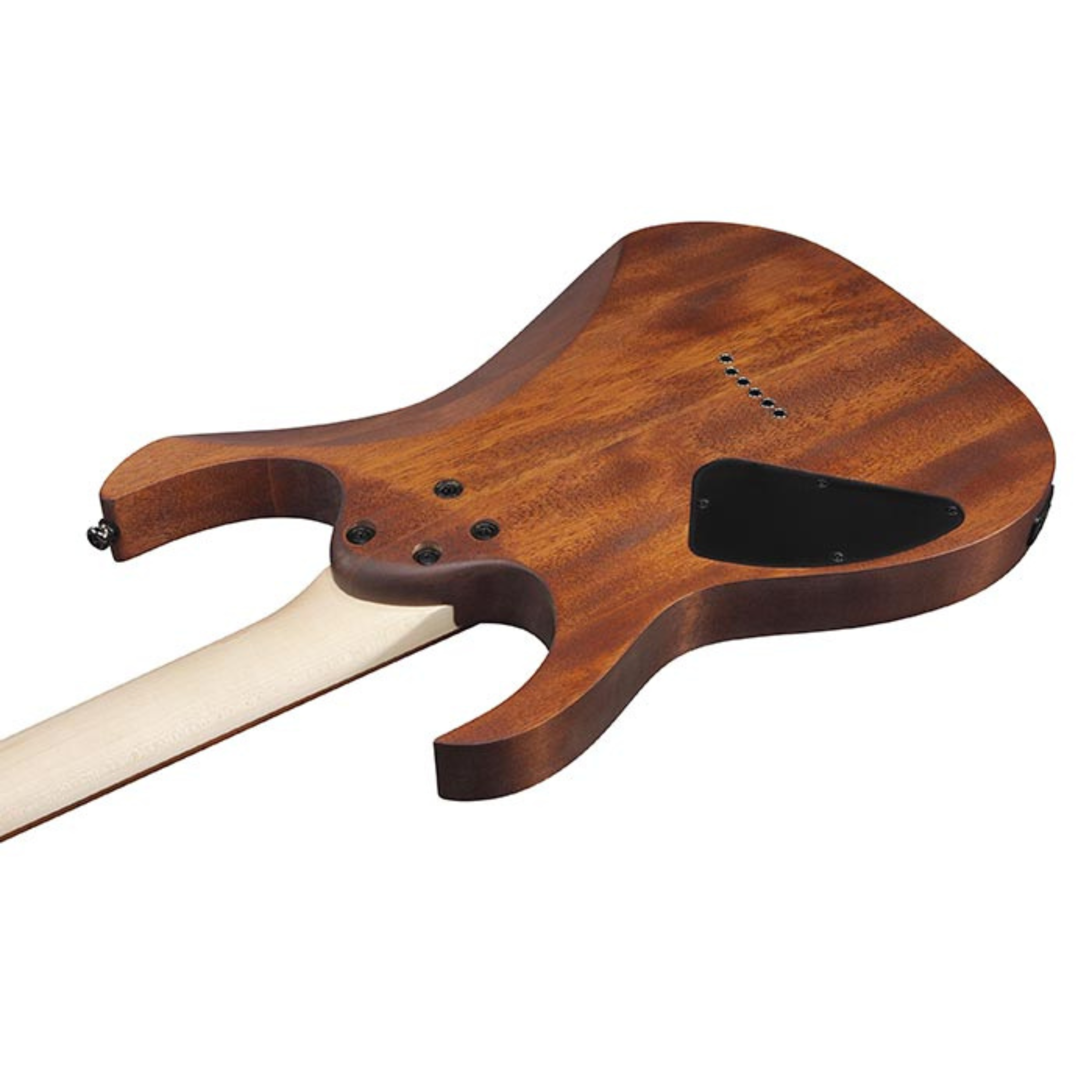 Ibanez RG Standard 系列 RG421-MOL 油亮桃花心木色 楓木指板 雙雙拾音器 電吉他