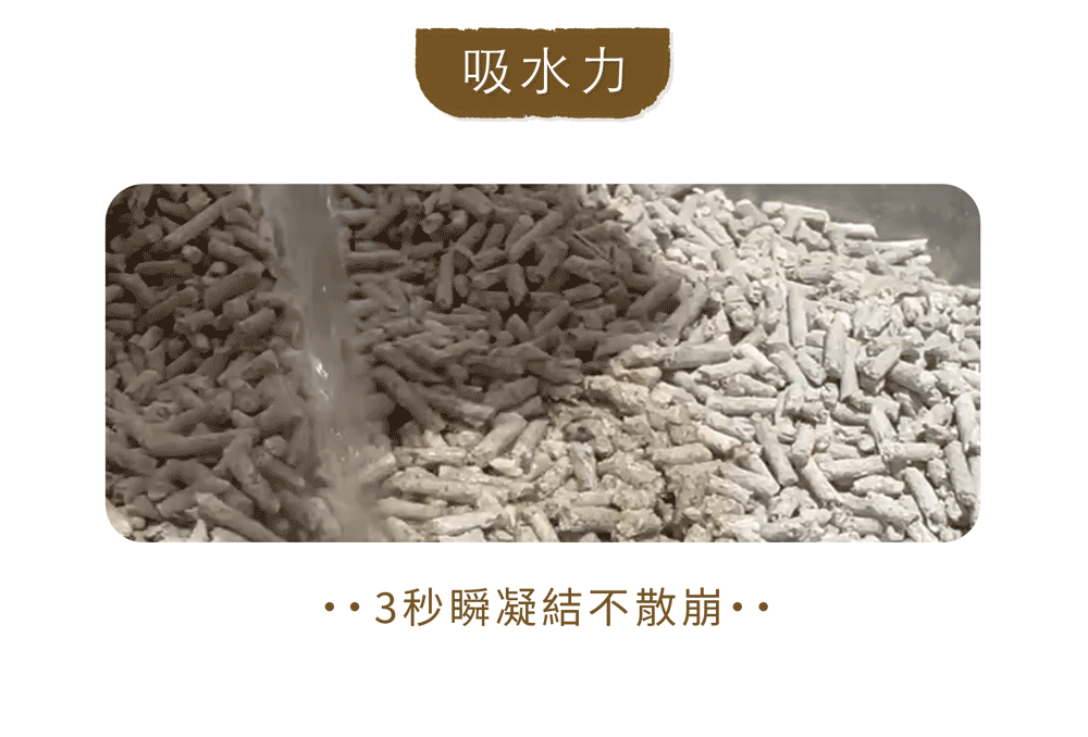 鳳梨貓砂吸水力測試
