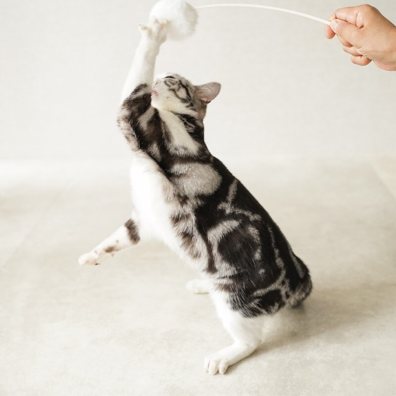 Mofu 天然兔毛逗貓棒