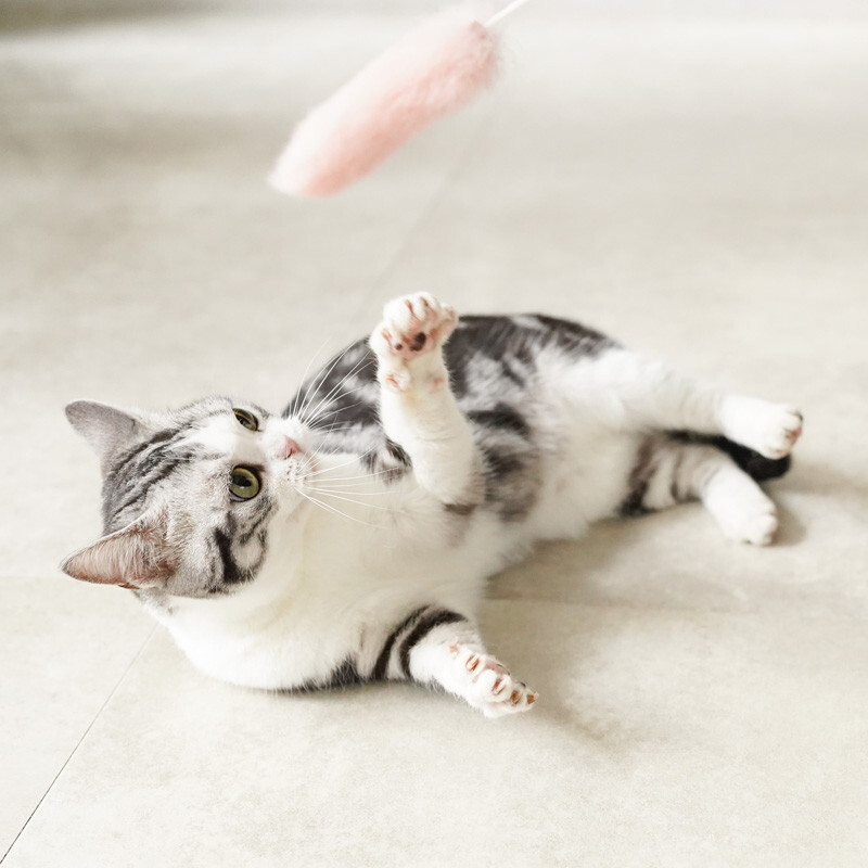 Mofu 天然兔毛逗貓棒