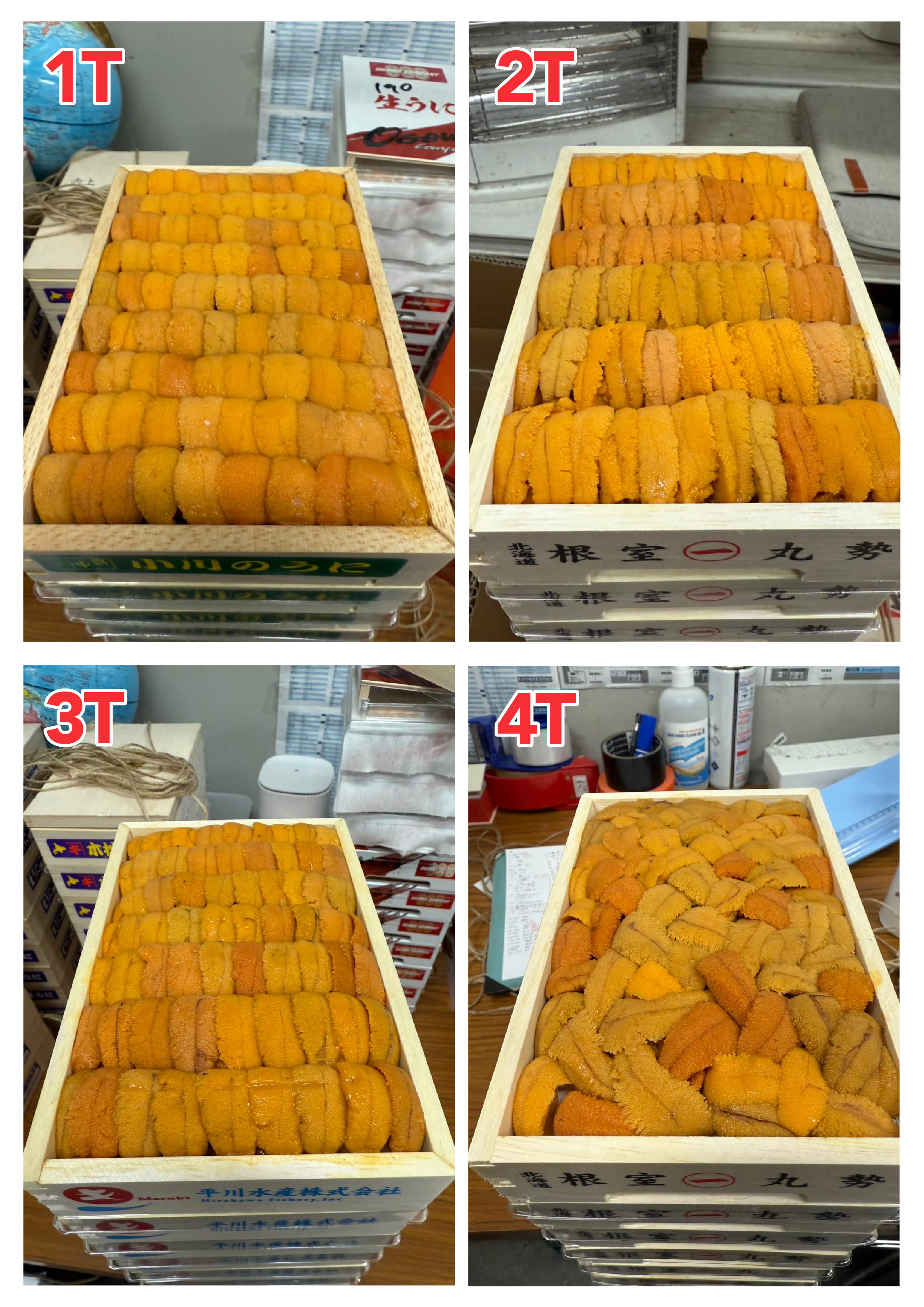 【指定海膽推薦】每天更新 (限即日落單, 翌日送)