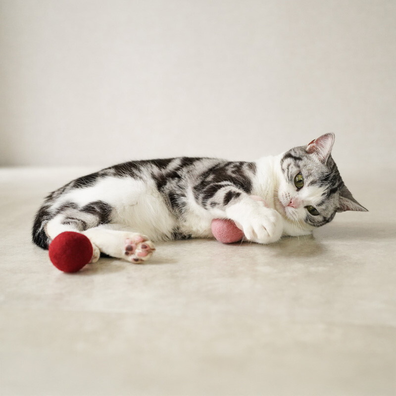 【現貨8折】Mofu 100%天然羊毛波波 (三個裝)