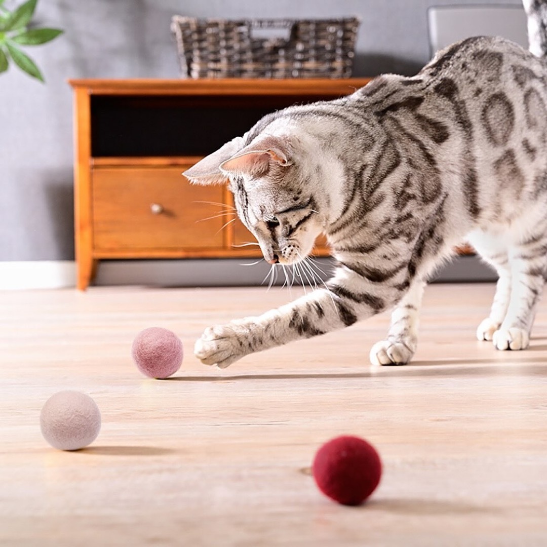 Mofu 天然羊毛波波