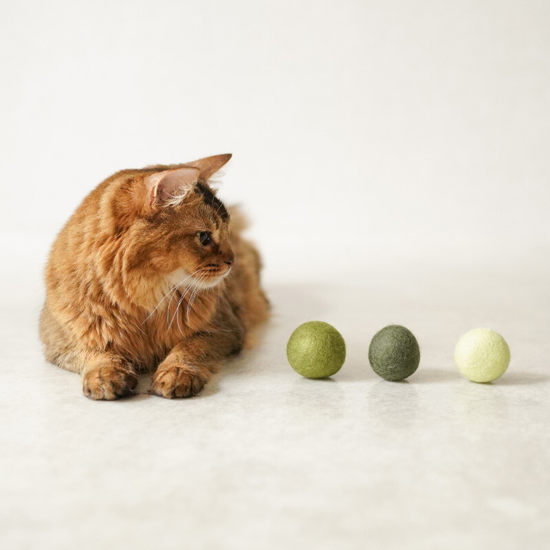 Mofu 天然羊毛波波