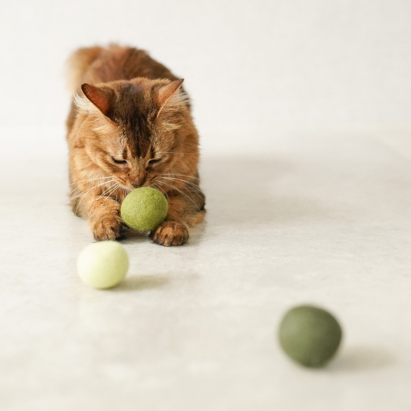 Mofu 天然羊毛波波