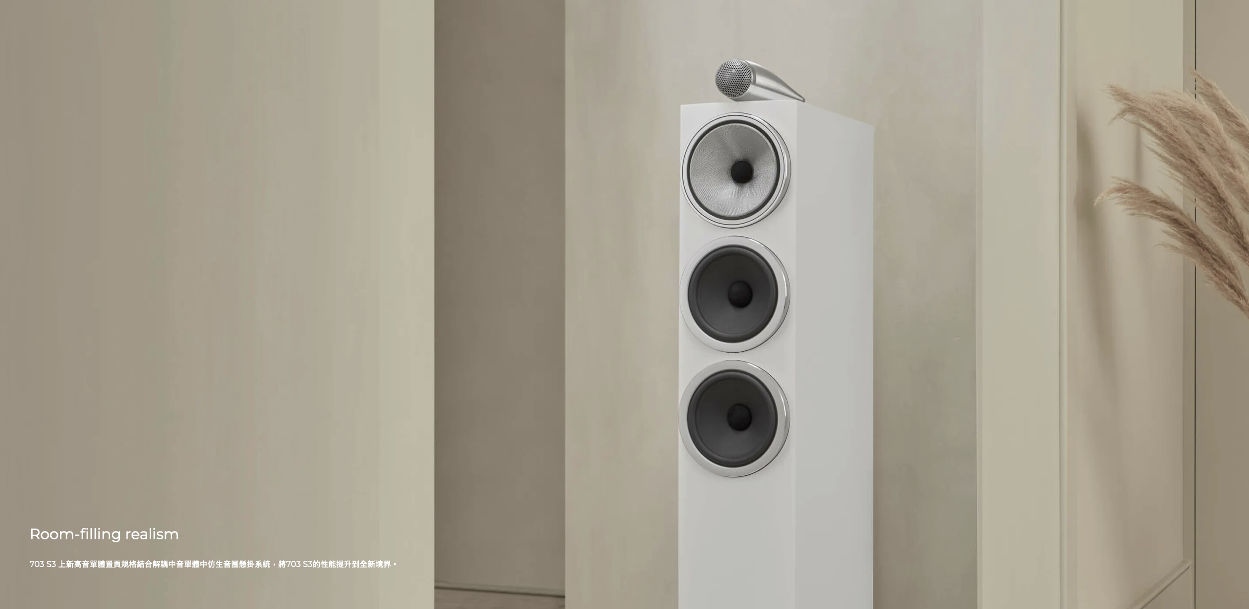 B&W 703 S3 落地式喇叭 正面 台北音響試聽