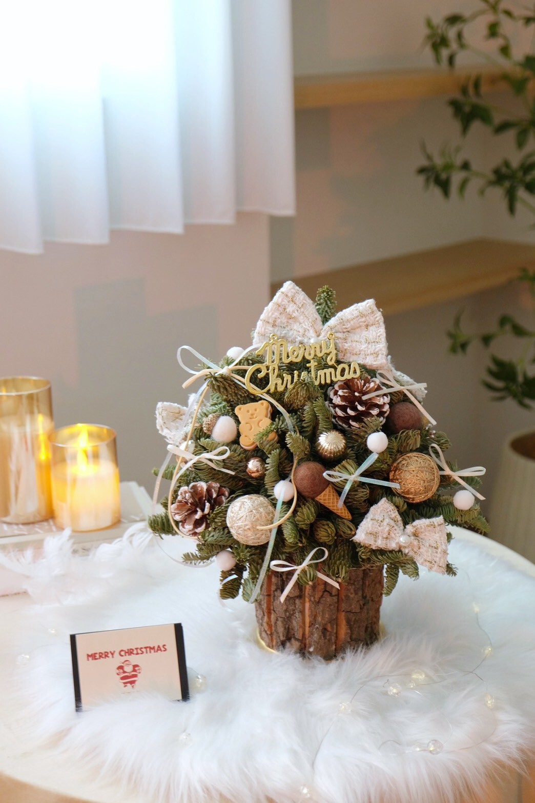 小香風諾貝松聖誕樹 12月限定 乾燥聖誕樹