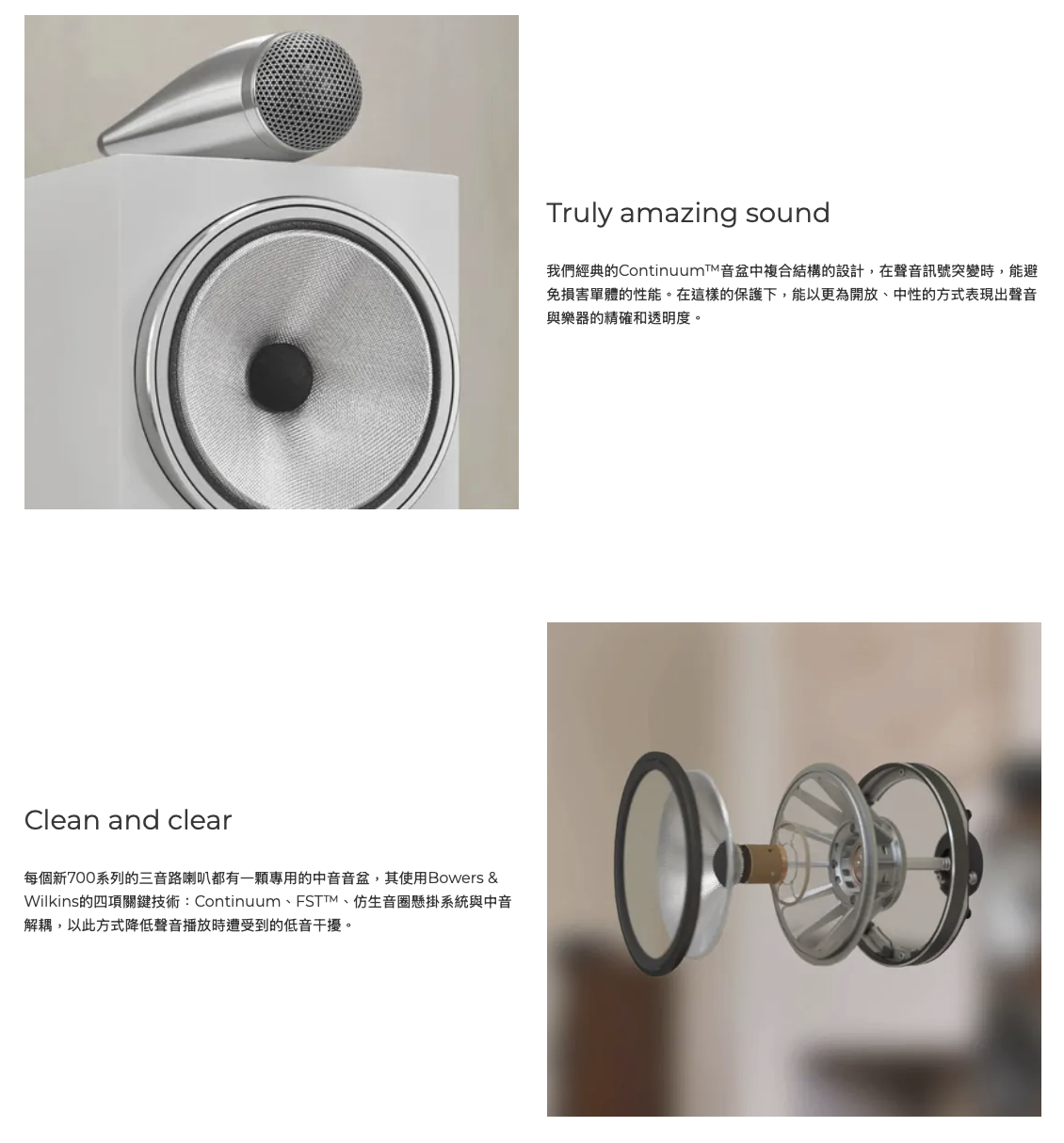 B&W 703 S3 Carbon Dome 高音單體 特寫