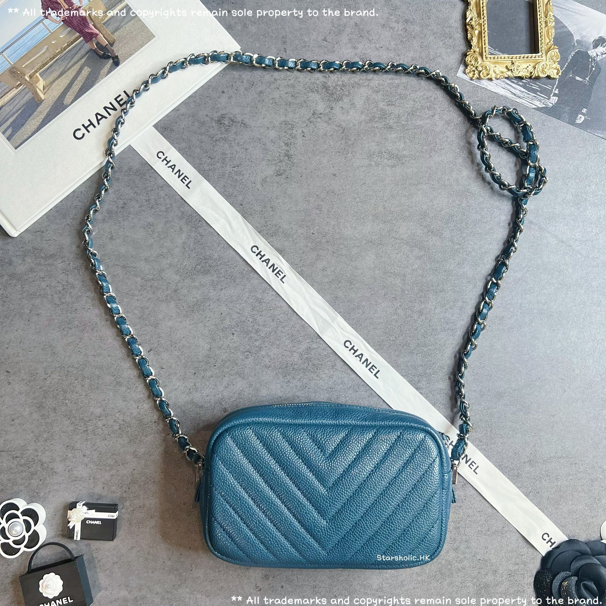 CHANEL Seasonal Camera Bag