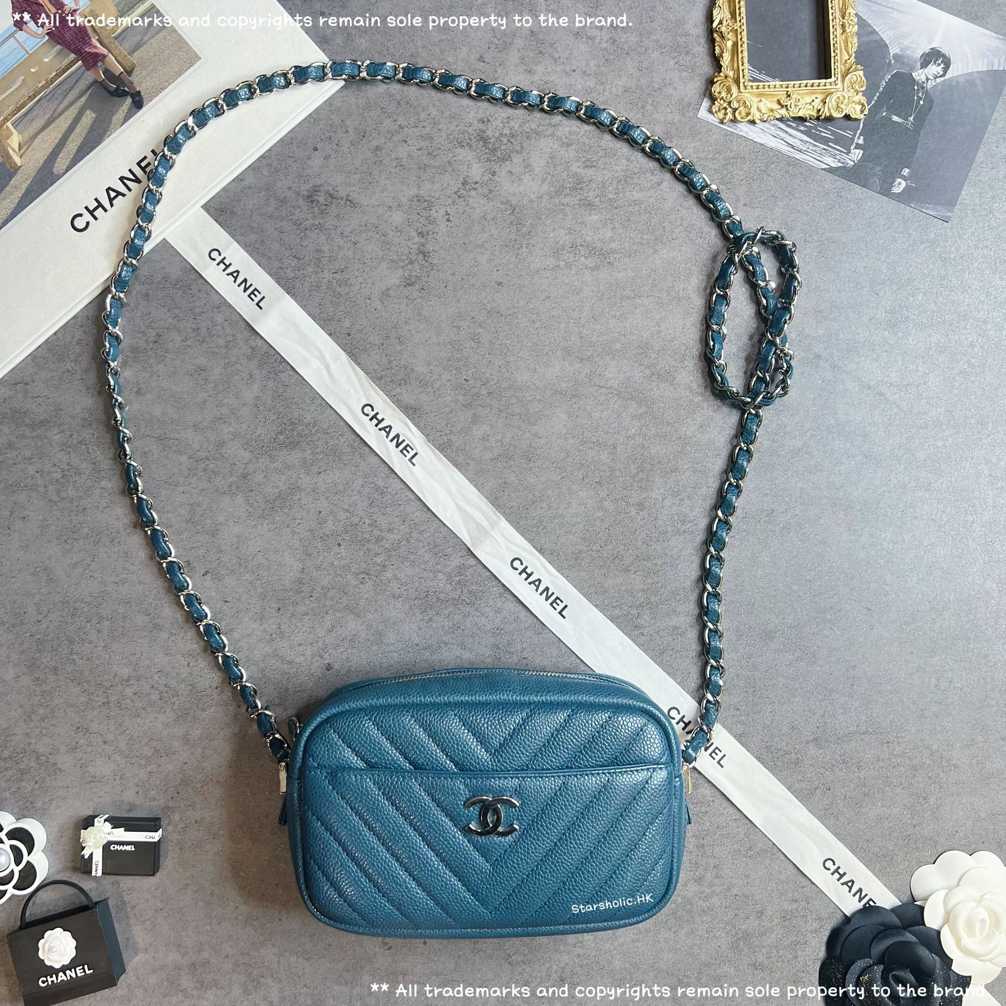 CHANEL Seasonal Camera Bag