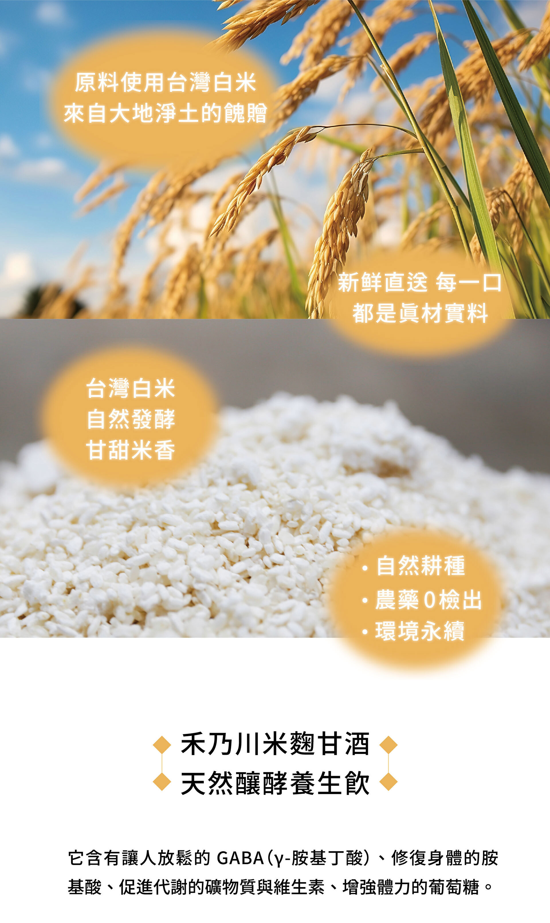 禾乃川-米潤飲(米麴甘酒)