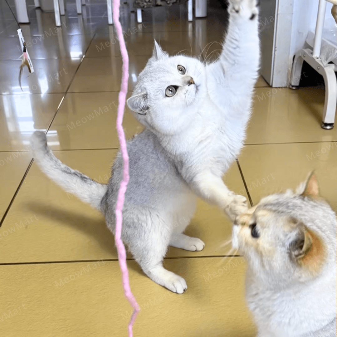 Mofu 100%天然羊毛鞭逗貓棒