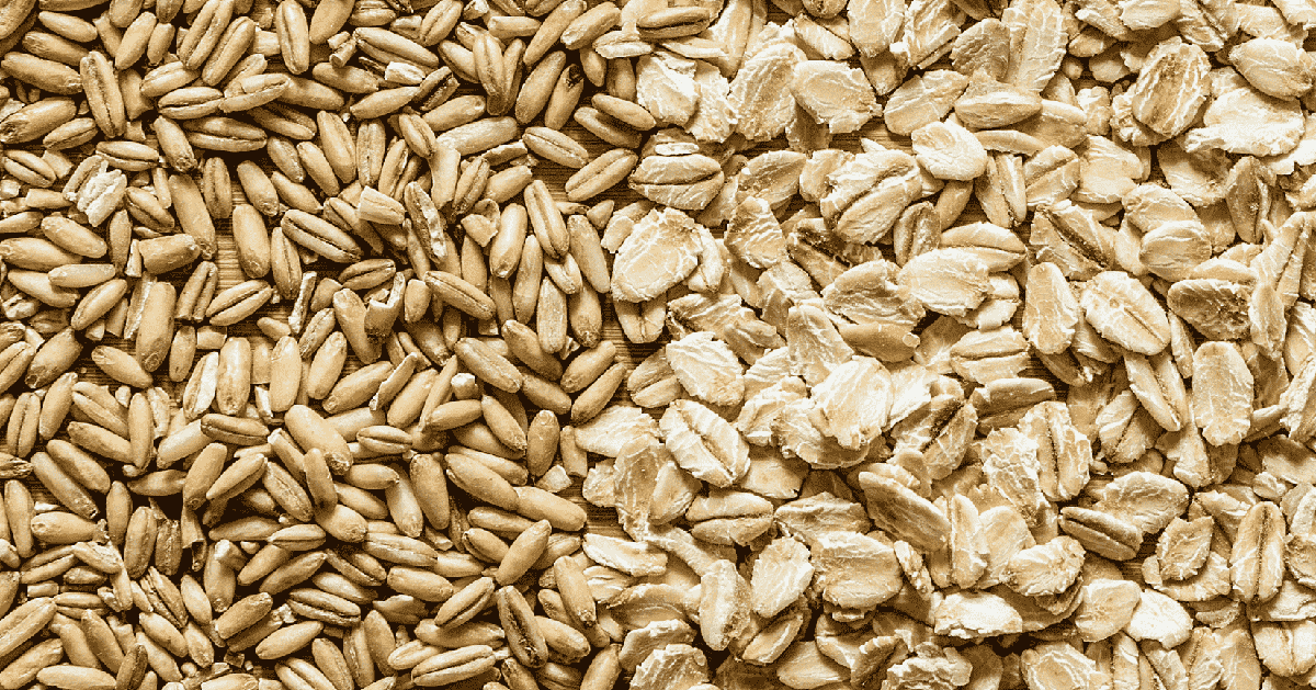 全穀燕麥 v.s. 即食燕麥營養差在哪?全穀燕麥飽足感長、膳食纖維高