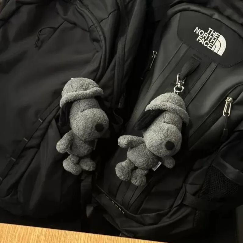 〔🐶下單即免運🐶〕韓國 正版授權 Snoopy Garden 韓國濟州島限定 史努比 灰色 白色 兩隻一組